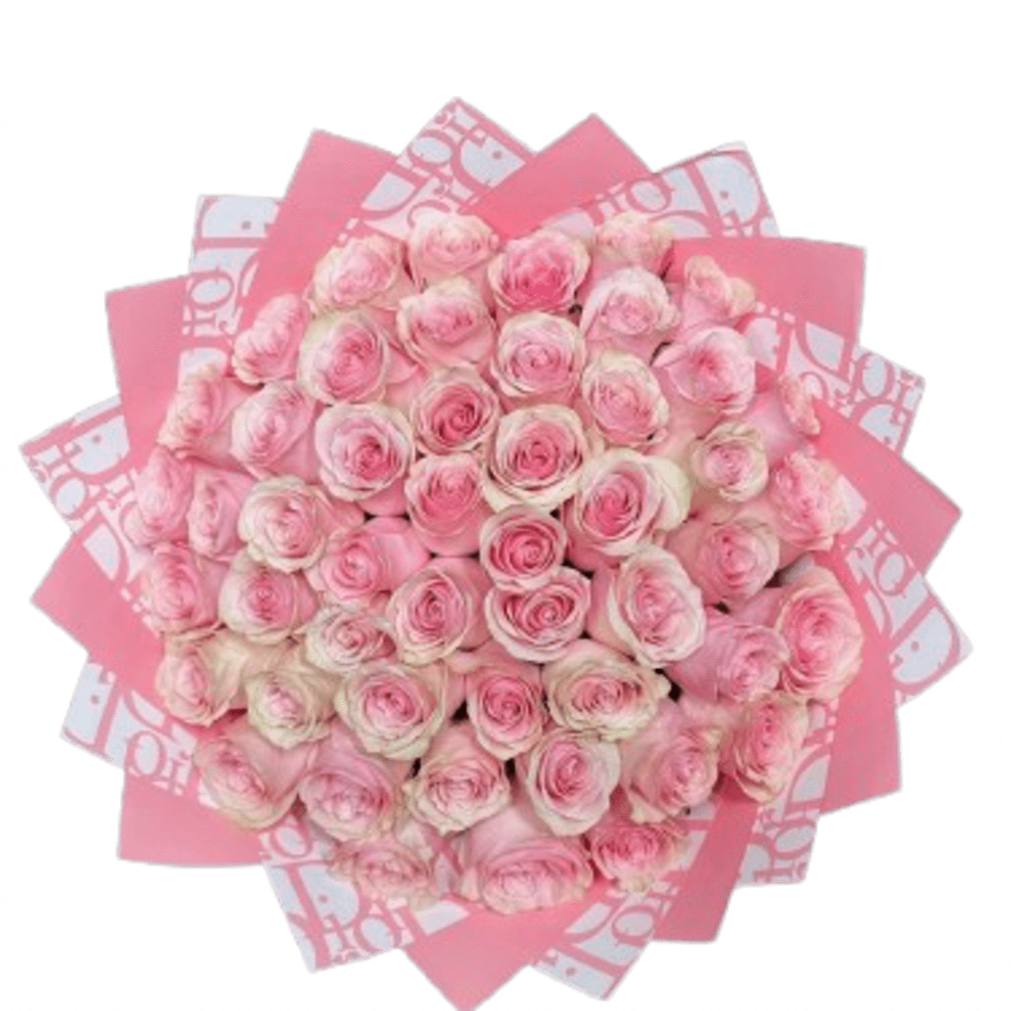 75 Pretty pink roses  wrapped in Dior paper. 