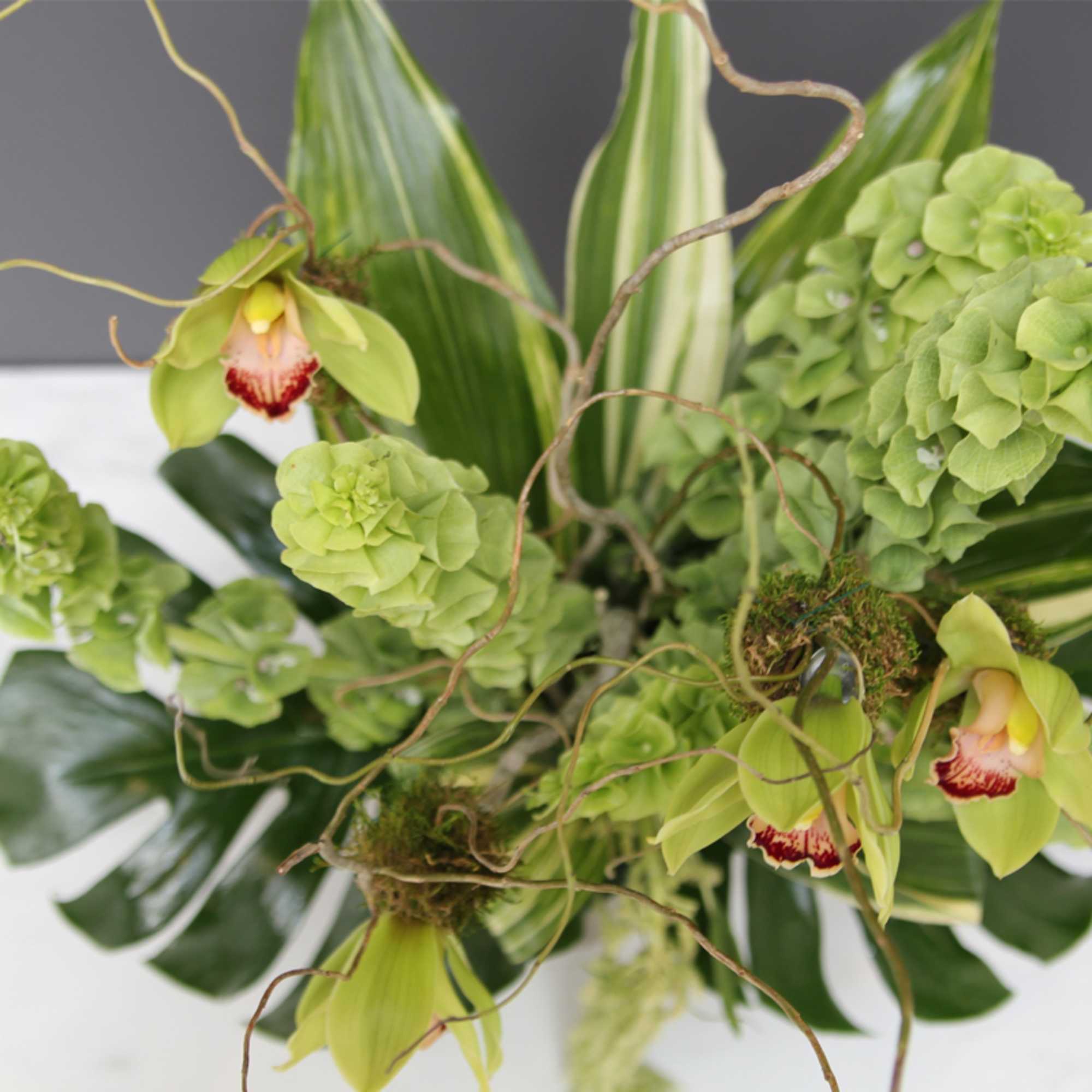 A beautiful green arrangement of Orchids and Bells of Ireland. This arrangement