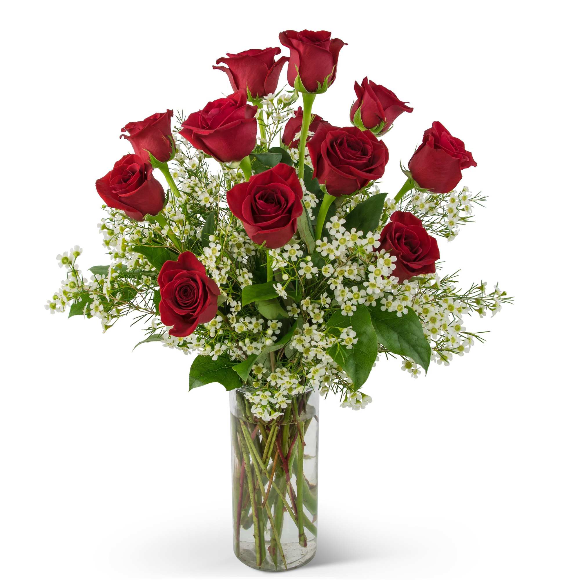 Swoon Over Me Dozen Red Roses - TMF-273 in Glendale, AZ