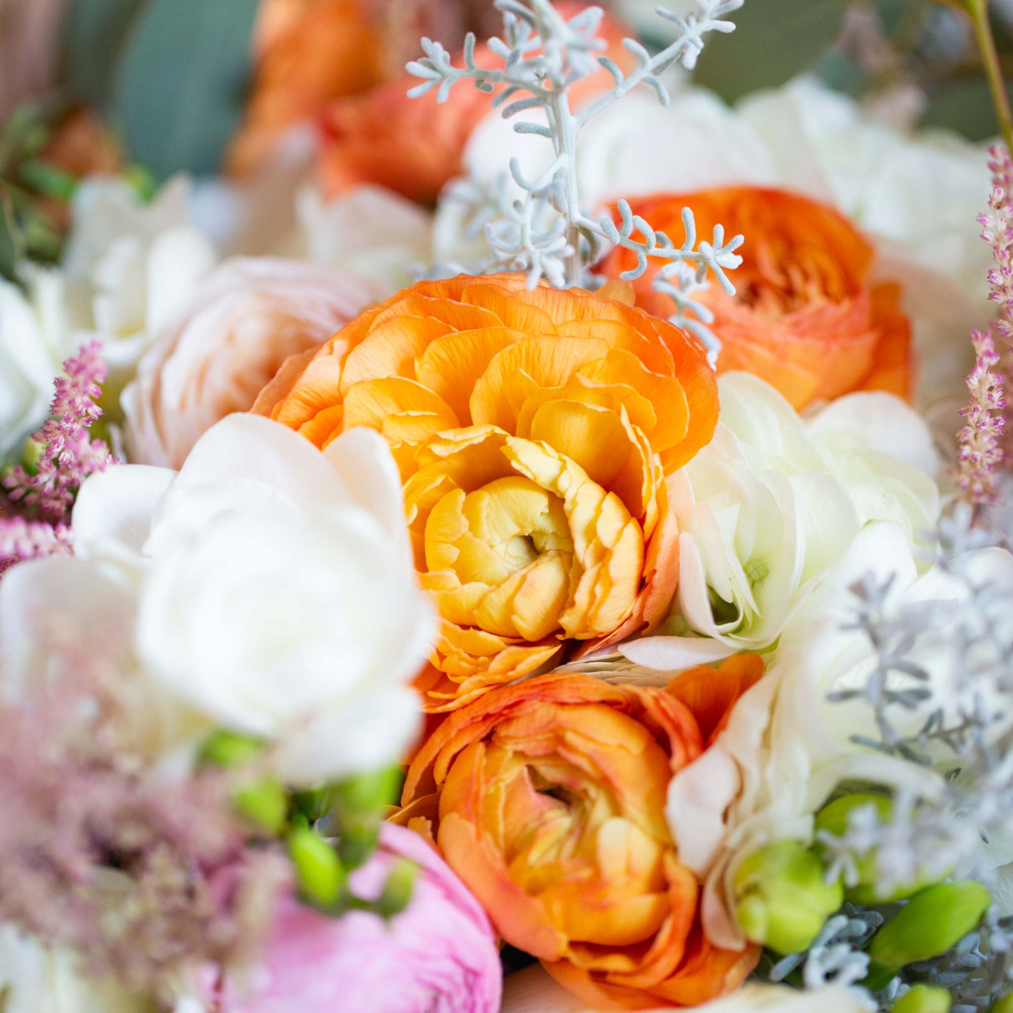 A hand-tied arrangement includes roses, hydrangeas, freesias, and ranunculus. A hand-tied arrangement includes roses, hydrangeas, freesias, and ranunculus.