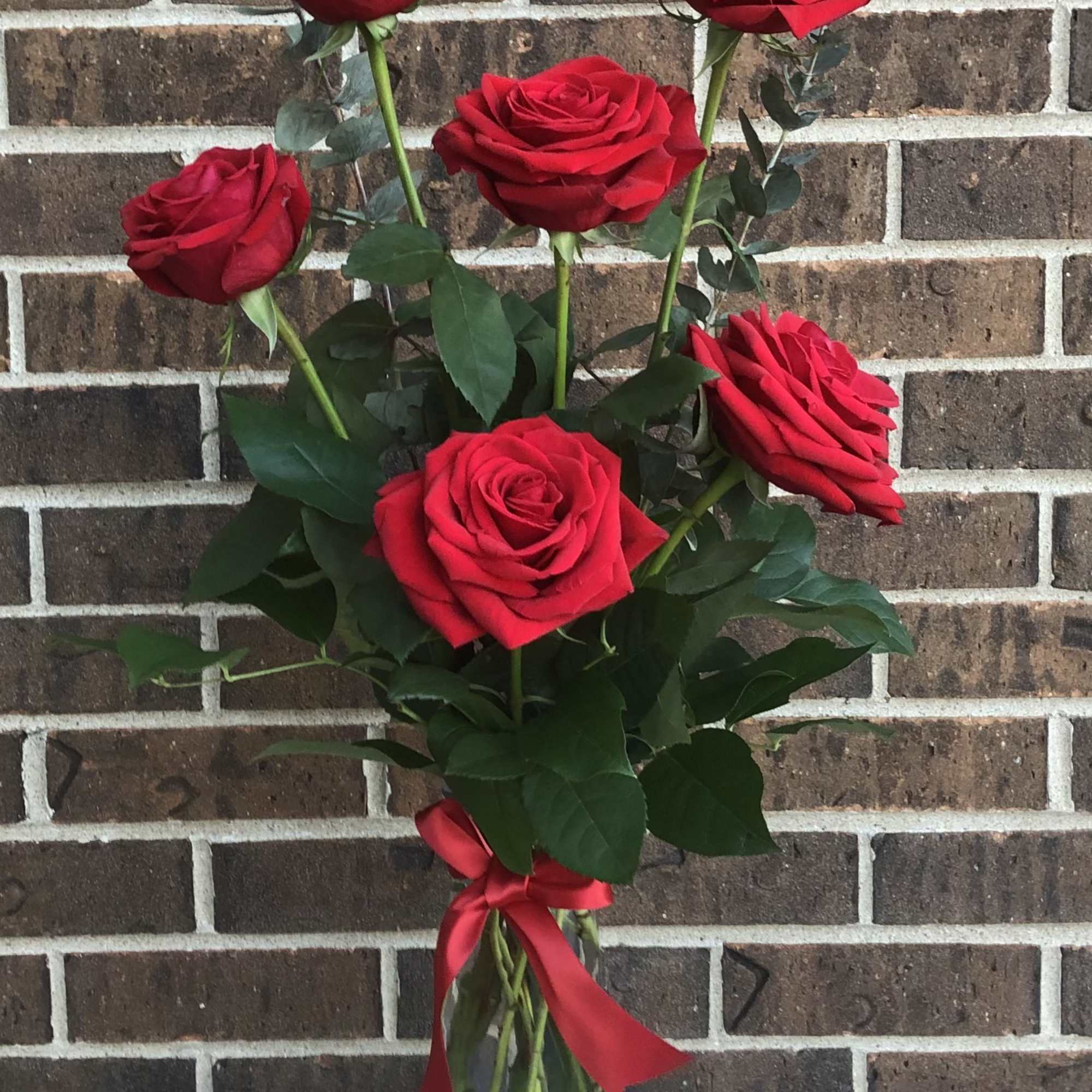 Six beautiful roses in a vase with a ribbon.
