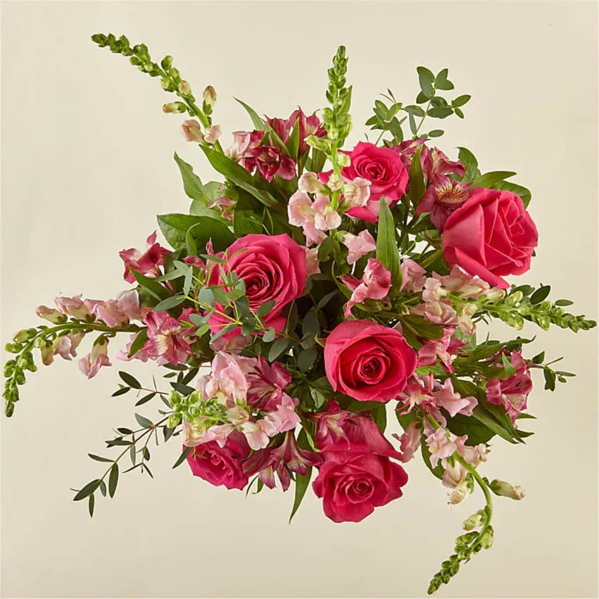 Place your Order Online Monday to Saturday before 1:00 p.m. (E.T.) for