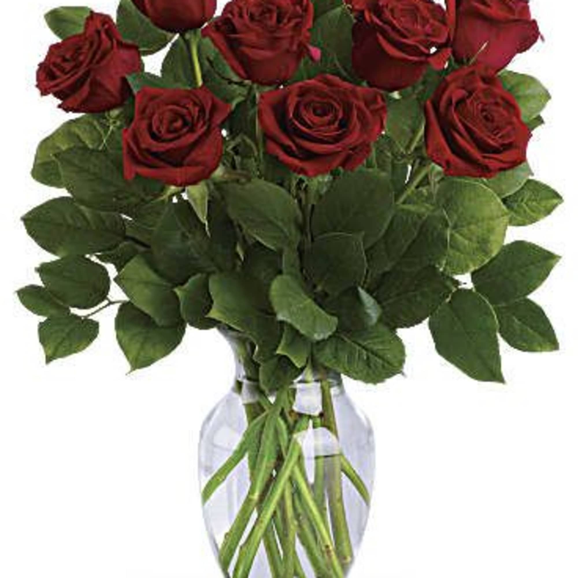 Romancing the rose! Nothing says "I love you" like a dramatic bouquet Romancing the rose! Nothing says "I love you" like a dramatic bouquet