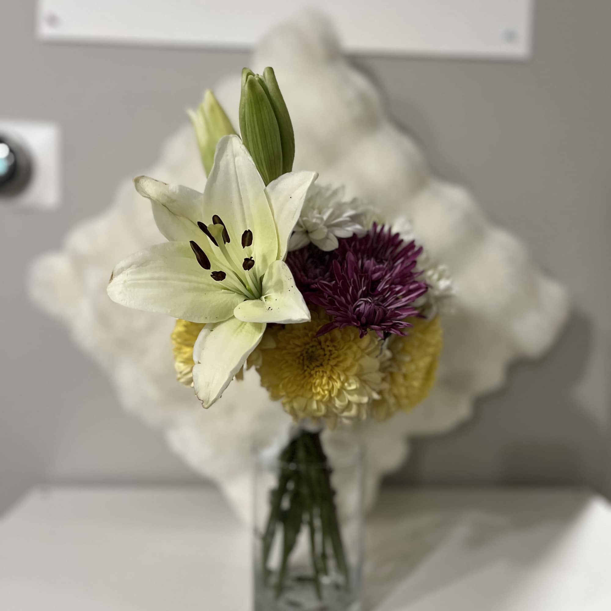 This bouquet is the best way to show appreciation and gratitude. This