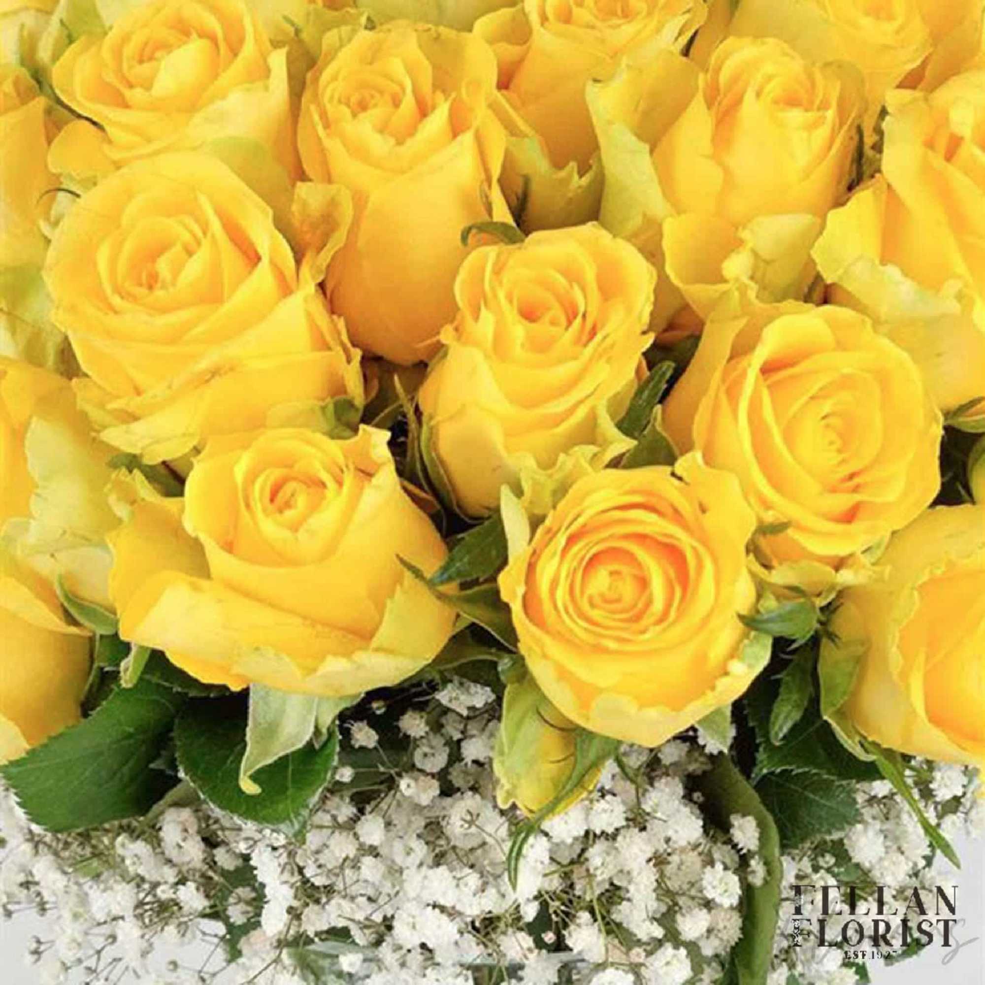 Brighten any celebration with a beautiful and brilliant bouquet of premium long-stem Brighten any celebration with a beautiful and brilliant bouquet of premium long-stem