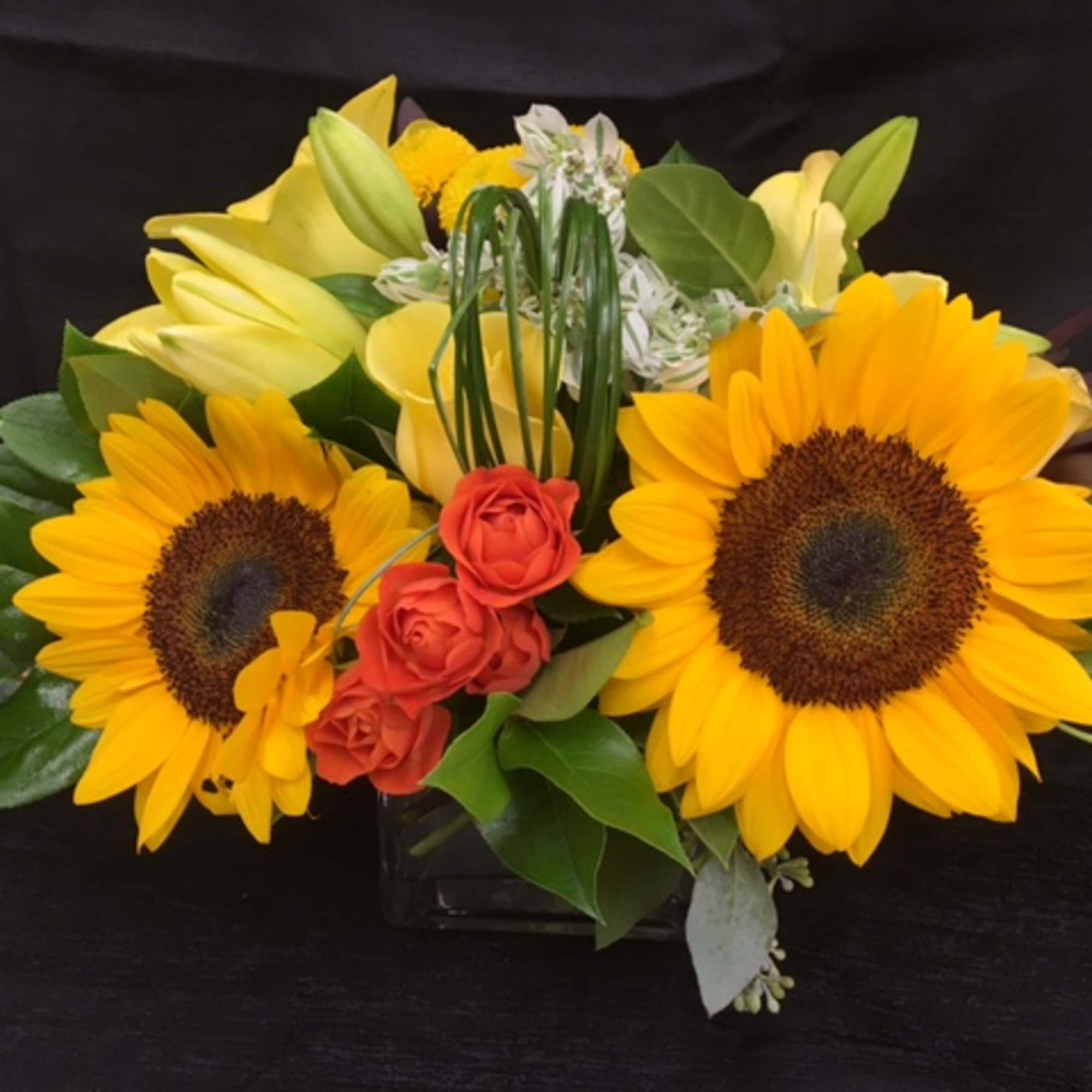Sunflowers, billy balls, lillys and roses in 5&quot; cube, perfect for bringing