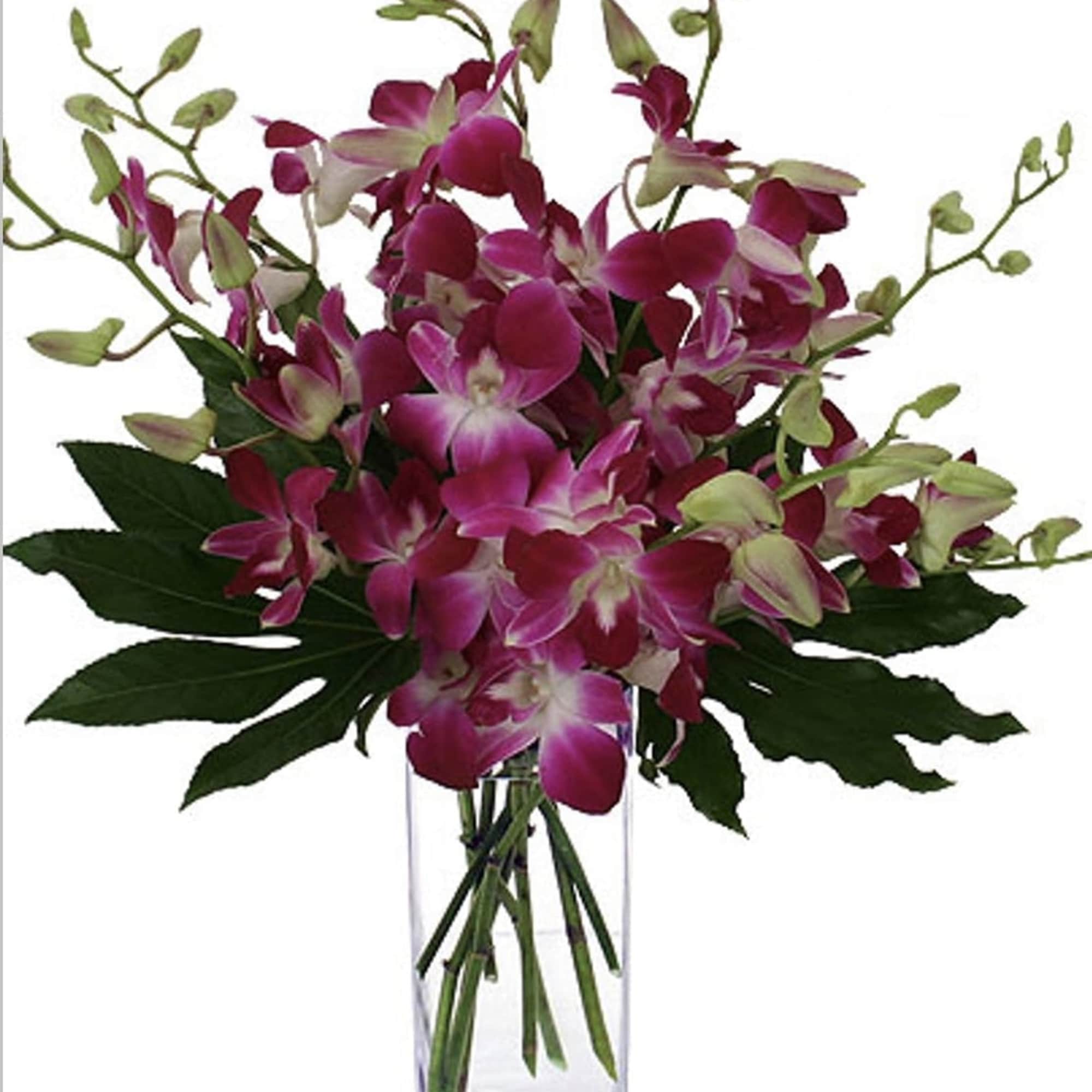 Let your sweet sentiments shine with vibrant color and exuberant elegance. An