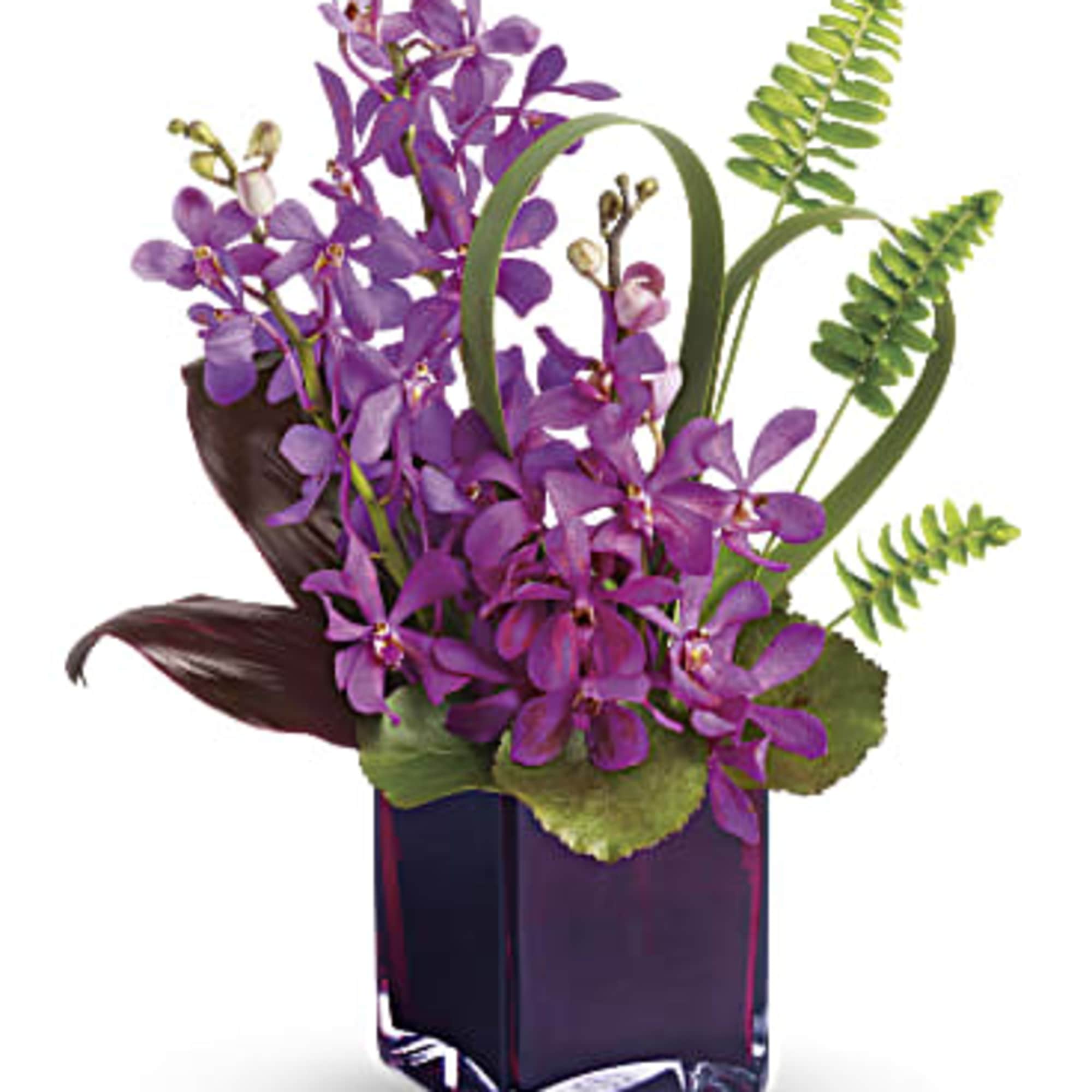  Sending someone with this exotic, romantic gift. Delicate purple orchids are