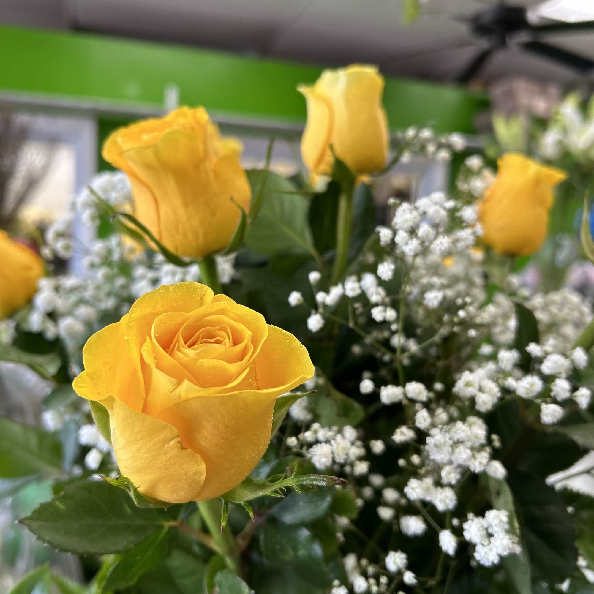 12 yellow roses in vase with baby's breath. More roses added as