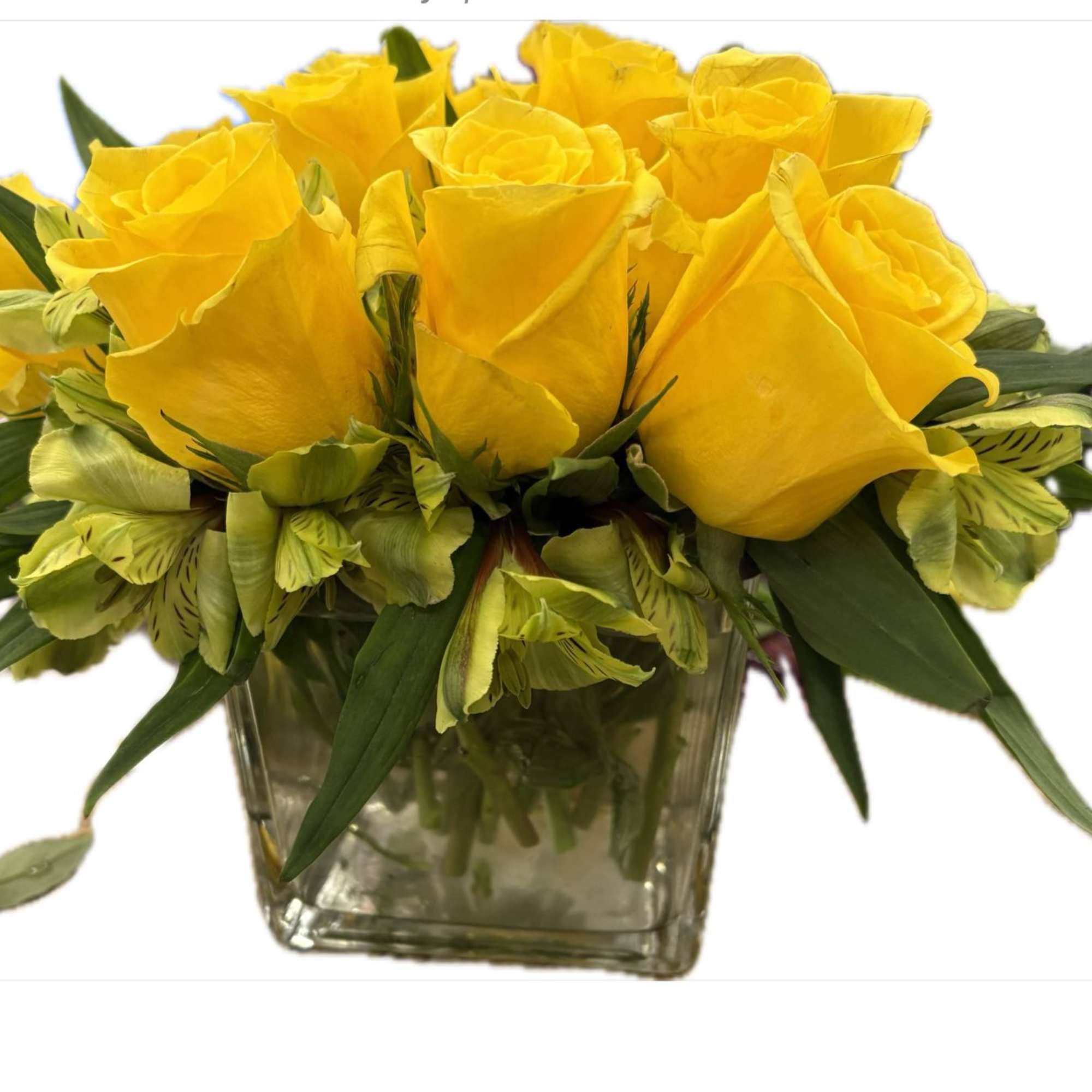 Dozen bright yellow roses, gren alstromeria in a short square vase