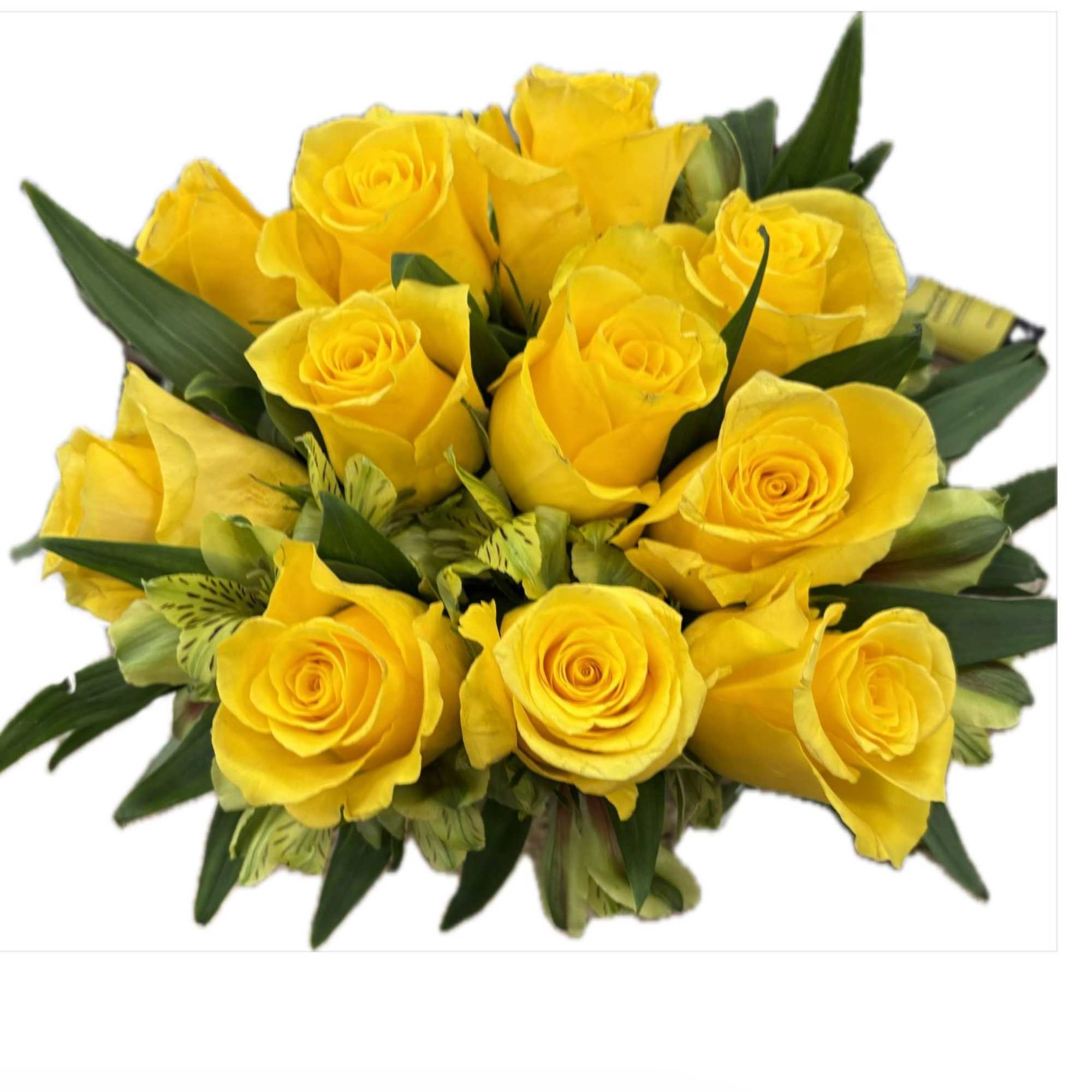 Dozen bright yellow roses, gren alstromeria in a short square vase