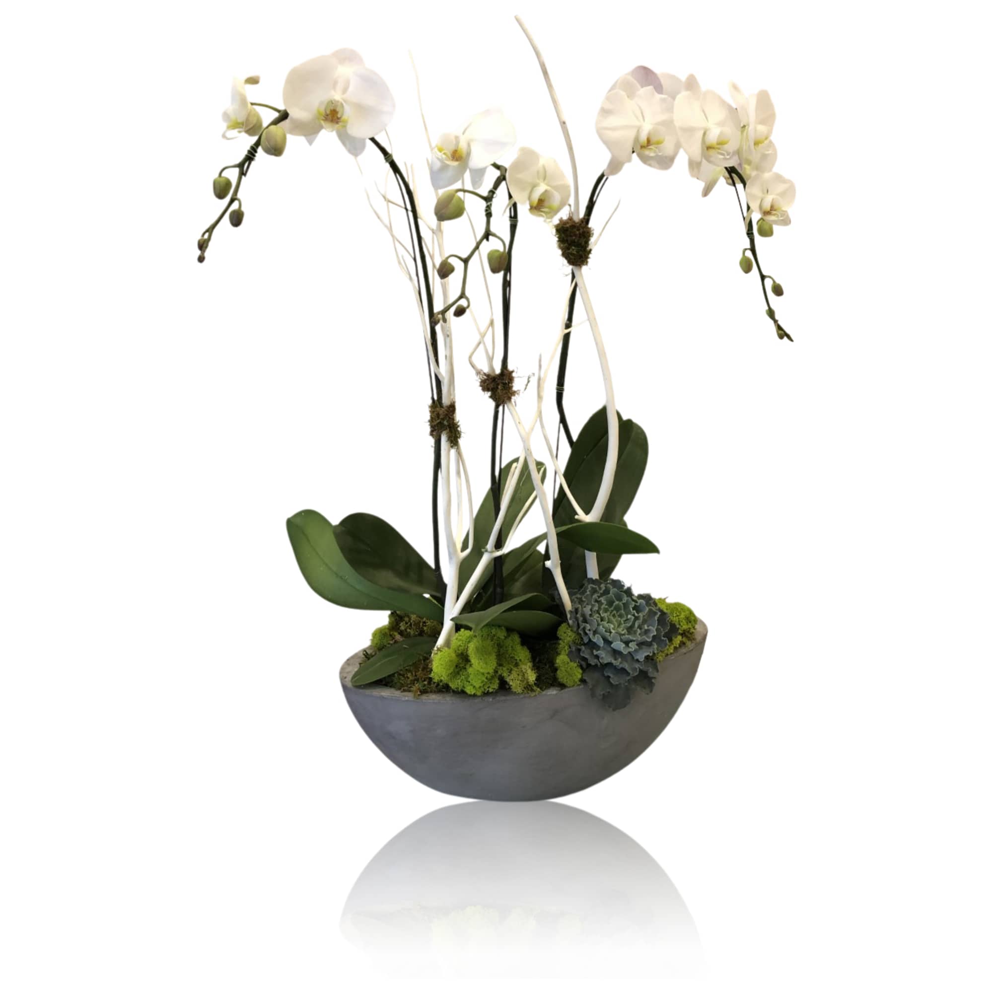 Here we feature 3 full size plants with mosses , succculents,... and