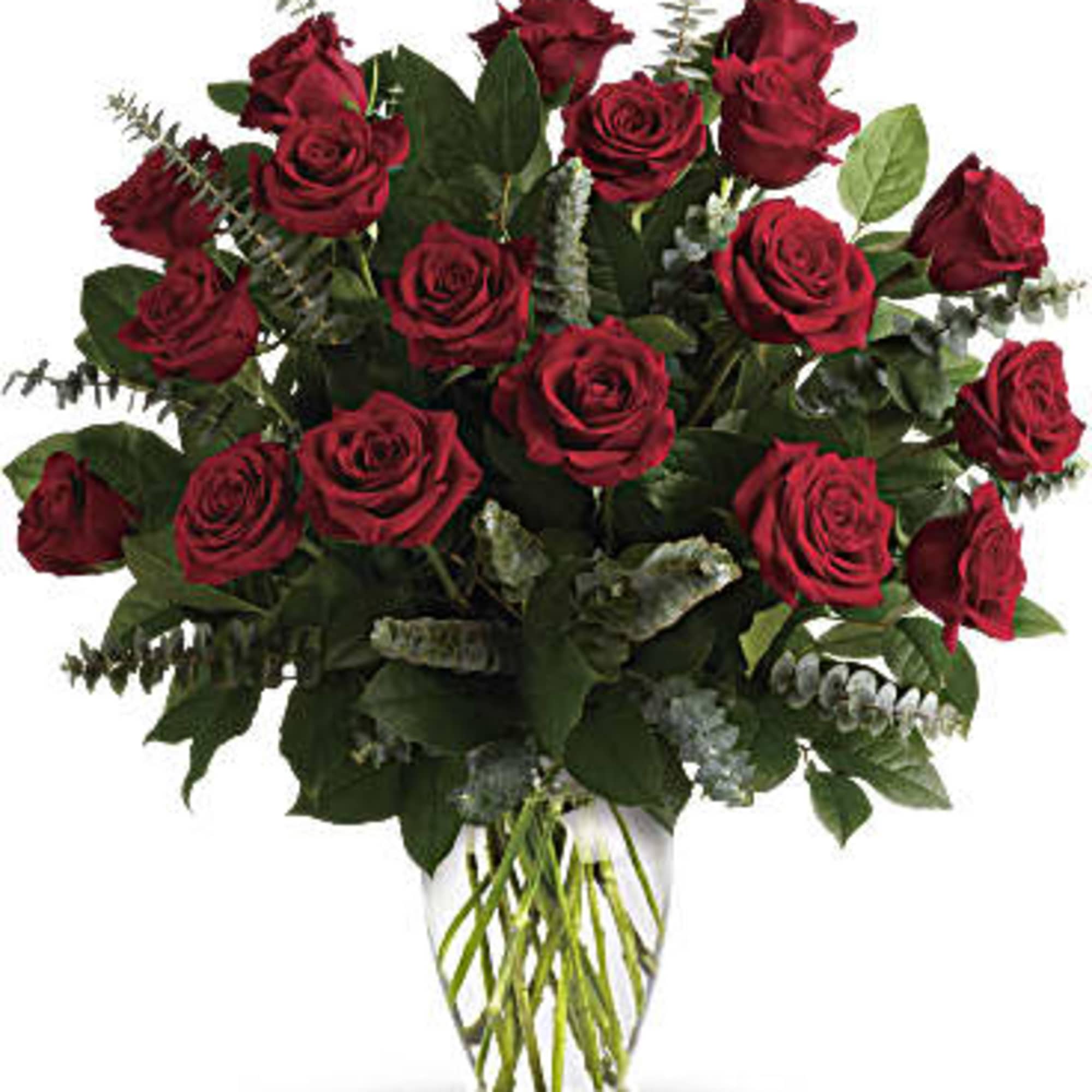 Red roses with Spiral Eucalyptus in a clear glass Vase 

