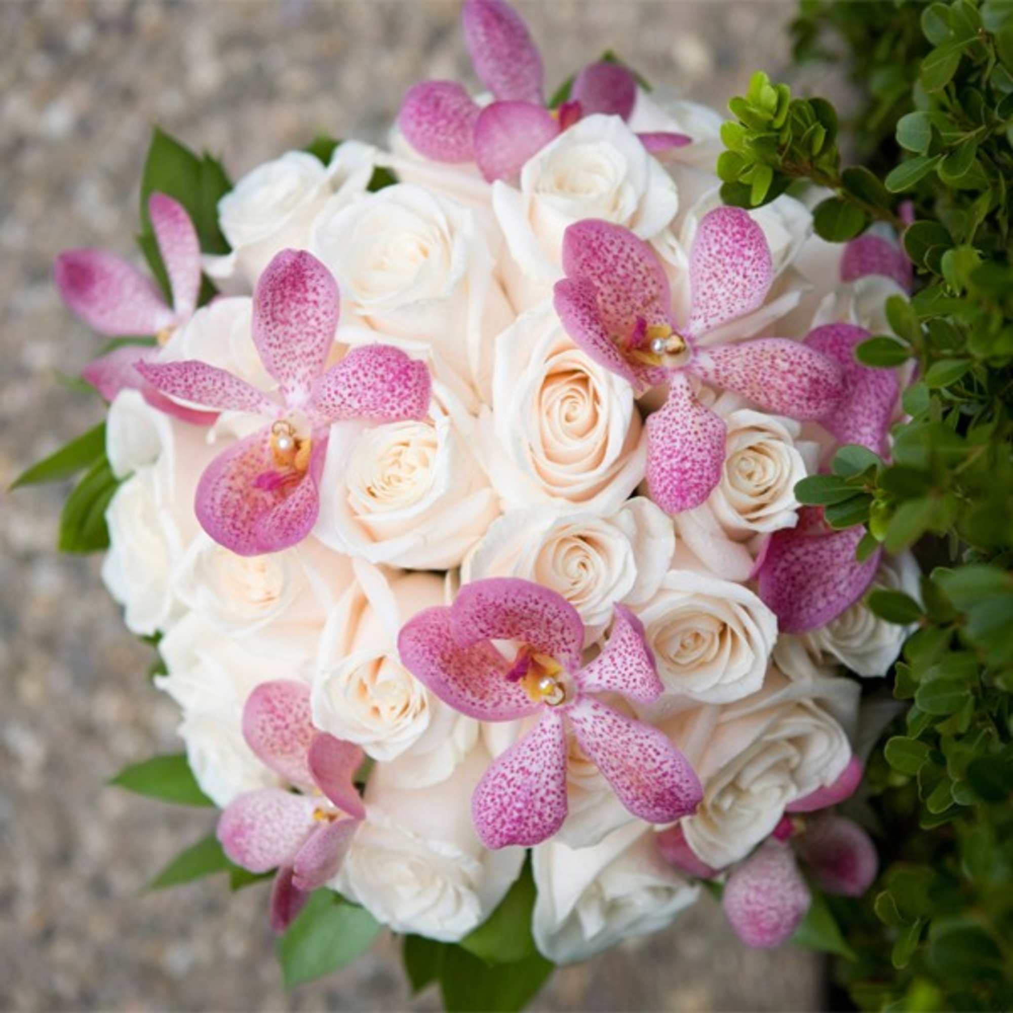 Classic Roses dressed with blooms of exotic Mokara Orchids, make up this