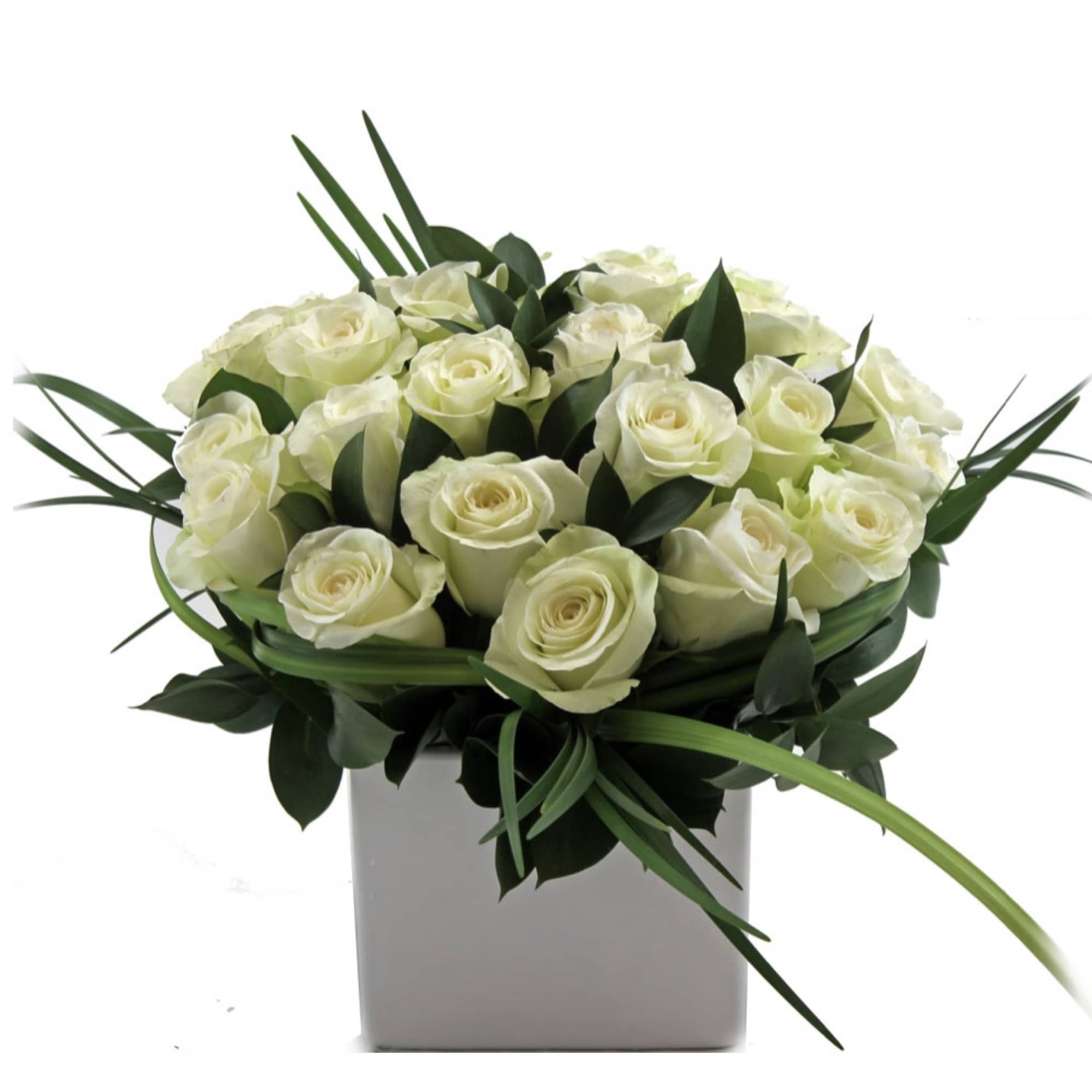 2 dozen roses. Our designer&#039;s favorite. Unusual modern look. PLEASE in the