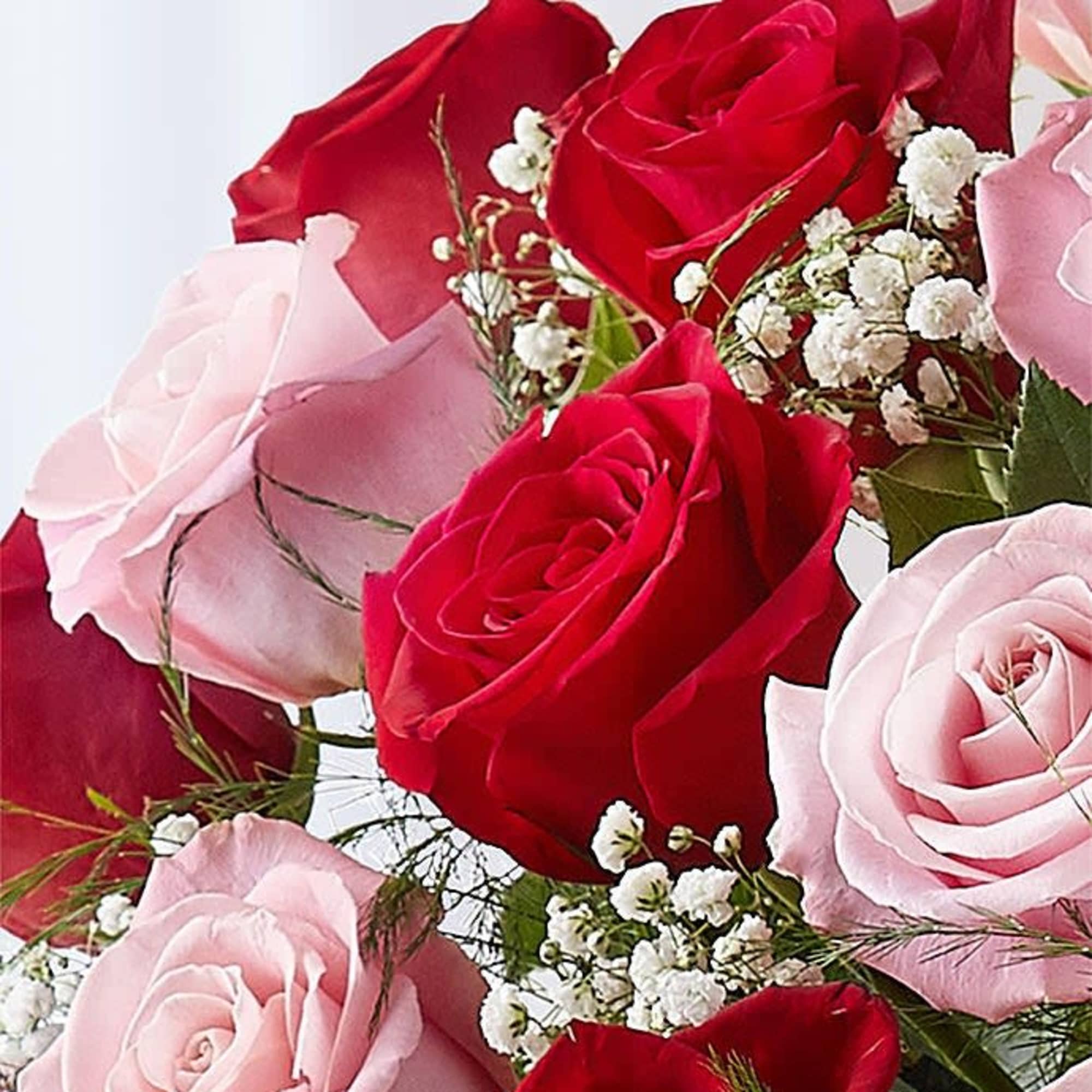 Our radiant long stem roses are the ultimate romantic surprise. Two, three