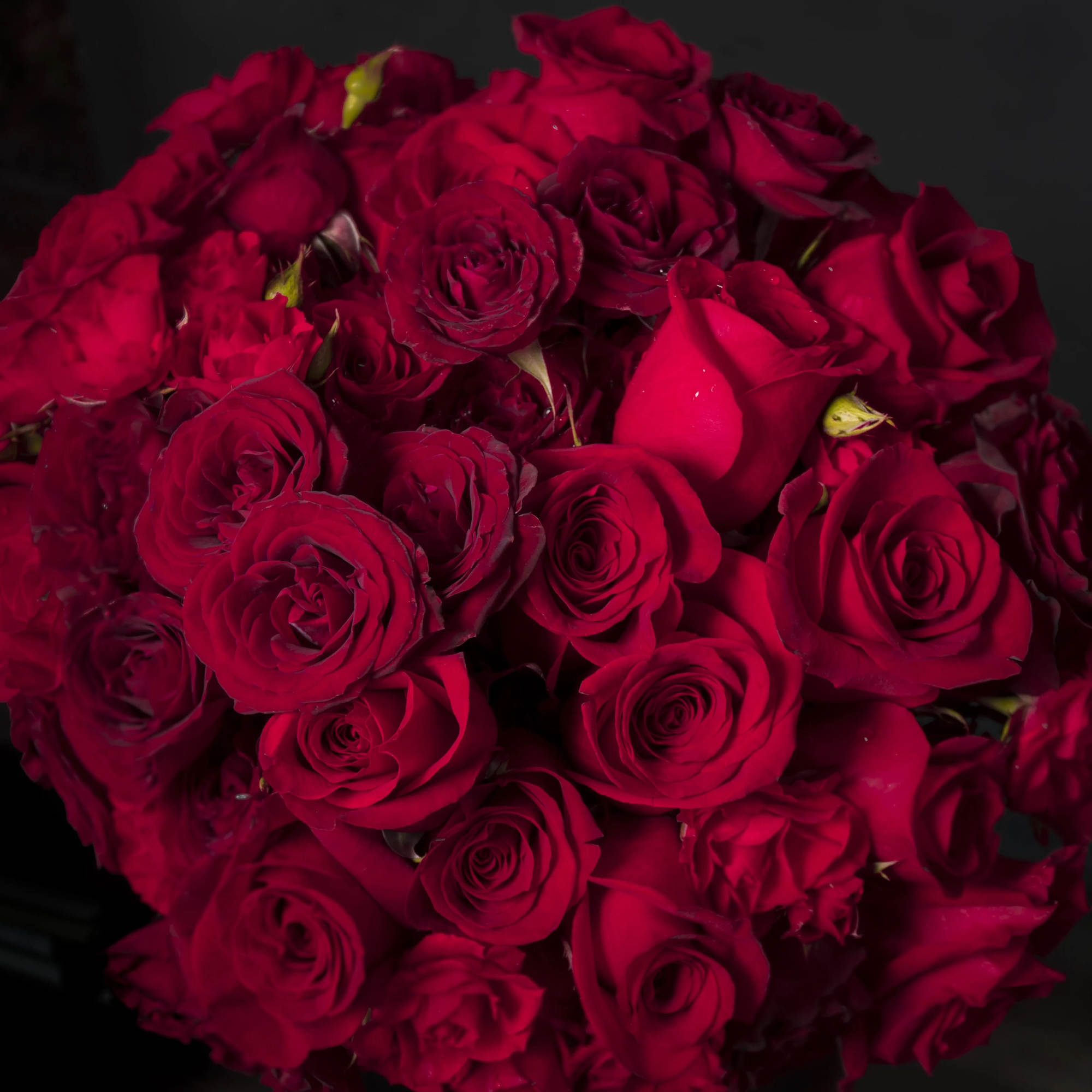 Ignite your passion for fresh aromatic florals with this arrangement of 2