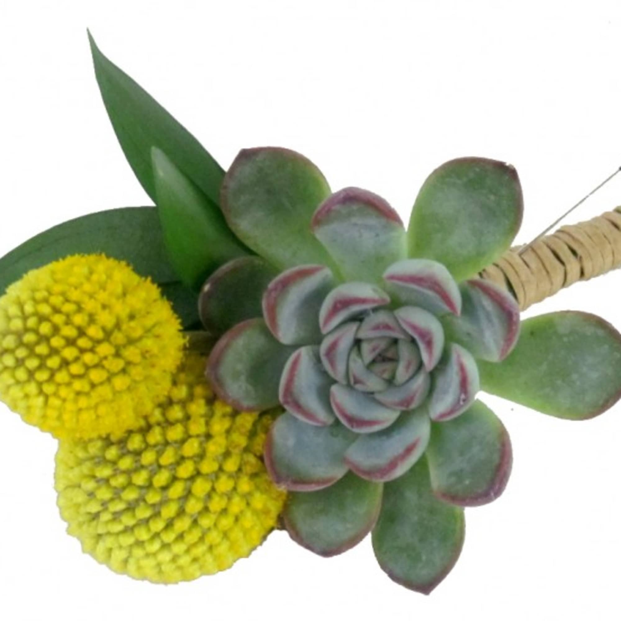 Need a boutonniere, but you&#039;re not the typical flower type? Have we