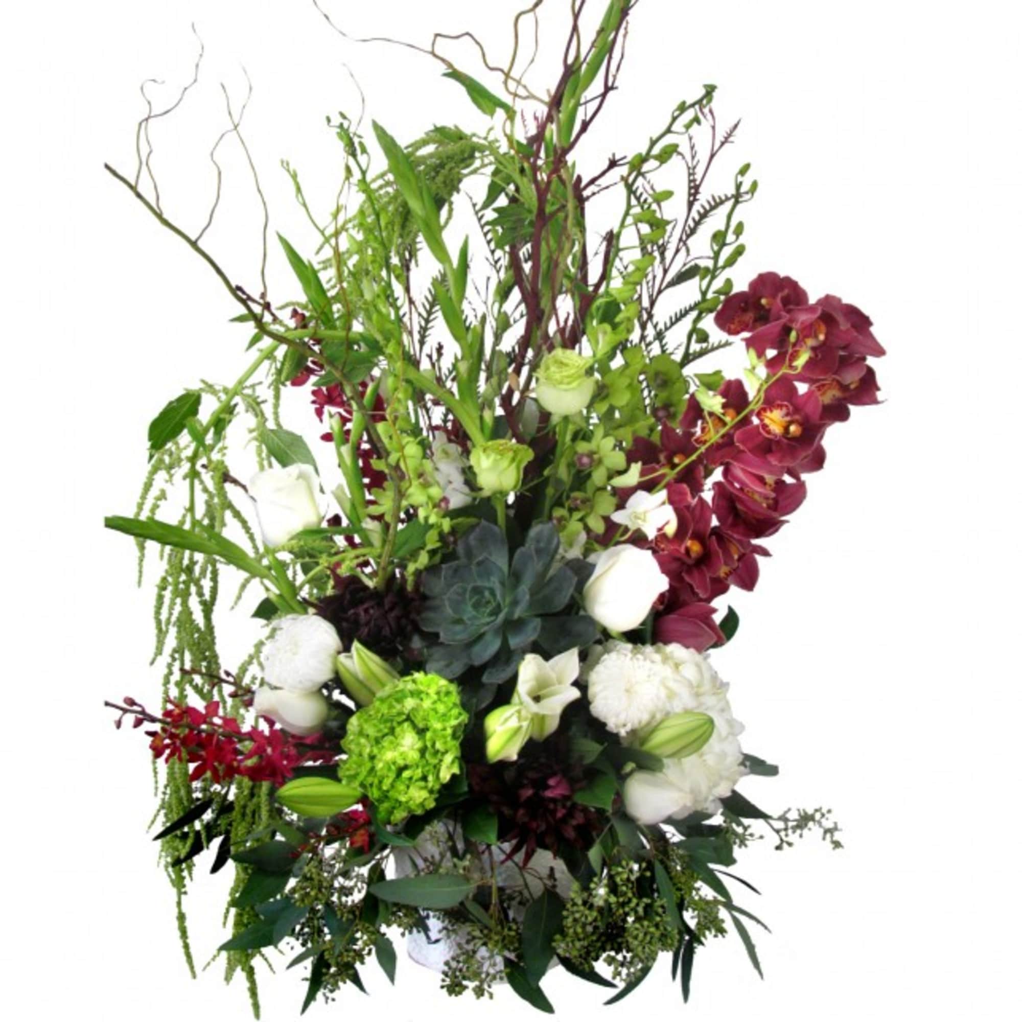 The Opulent Orchid Sympathy Basket features Pink Cymbidium Orchids, Green Dendrobium Orchids