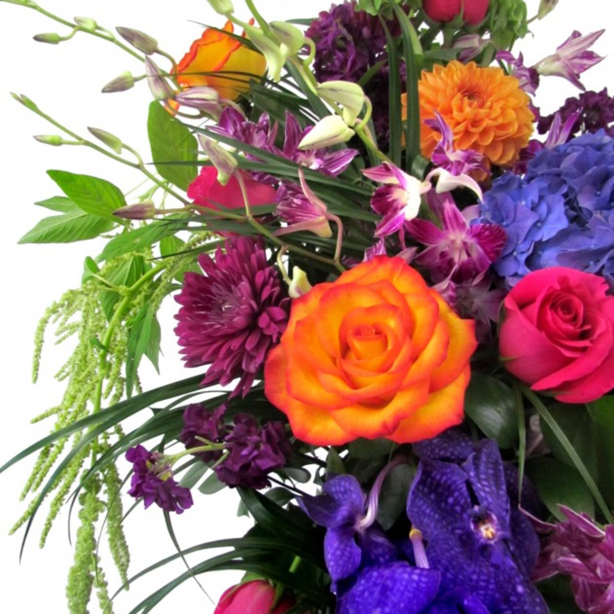 Celebrate life with this Sympathy Spray in rich jewel tones. Featured flowers