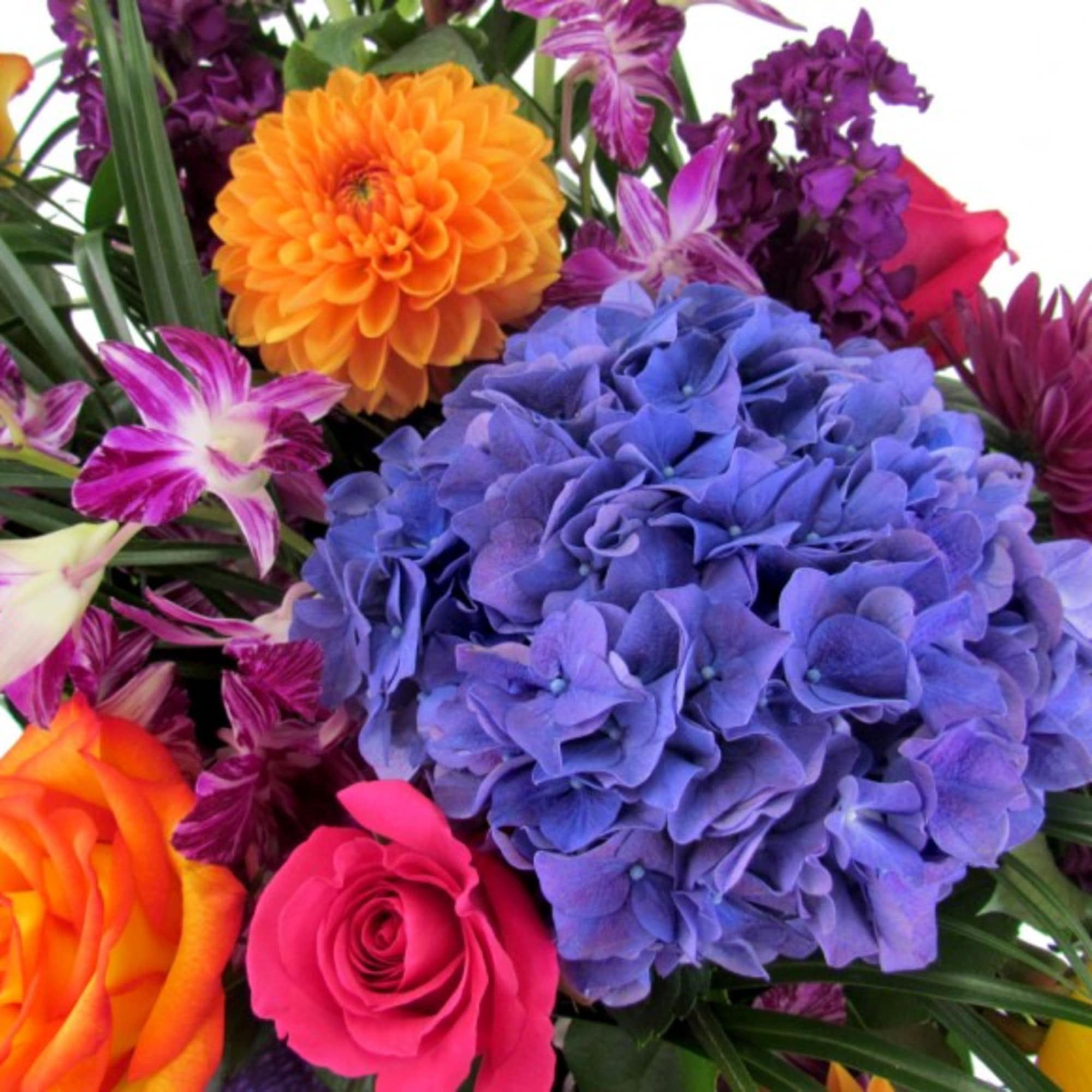 Celebrate life with this Sympathy Spray in rich jewel tones. Featured flowers