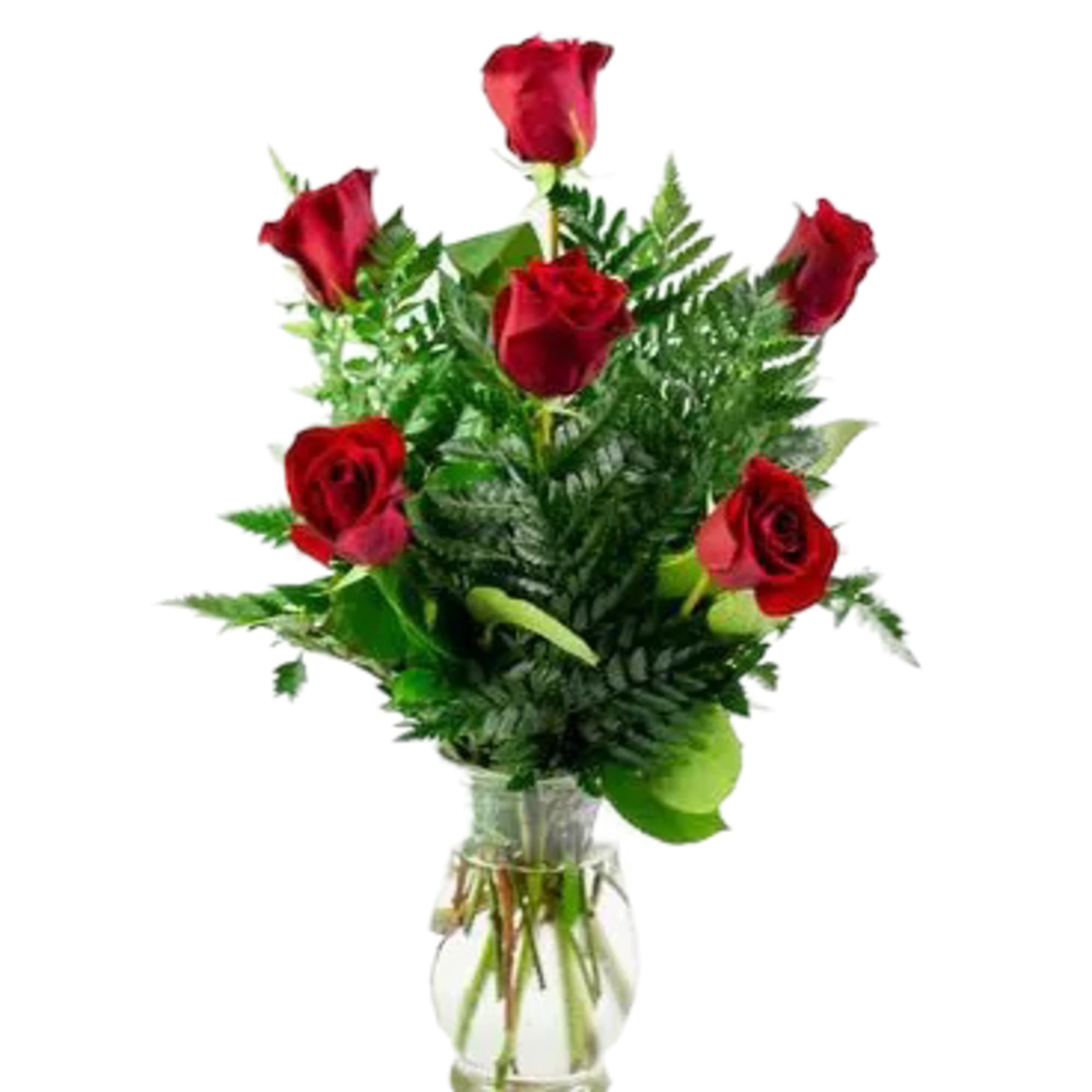 A clear glass vase with half a dozen red roses - 