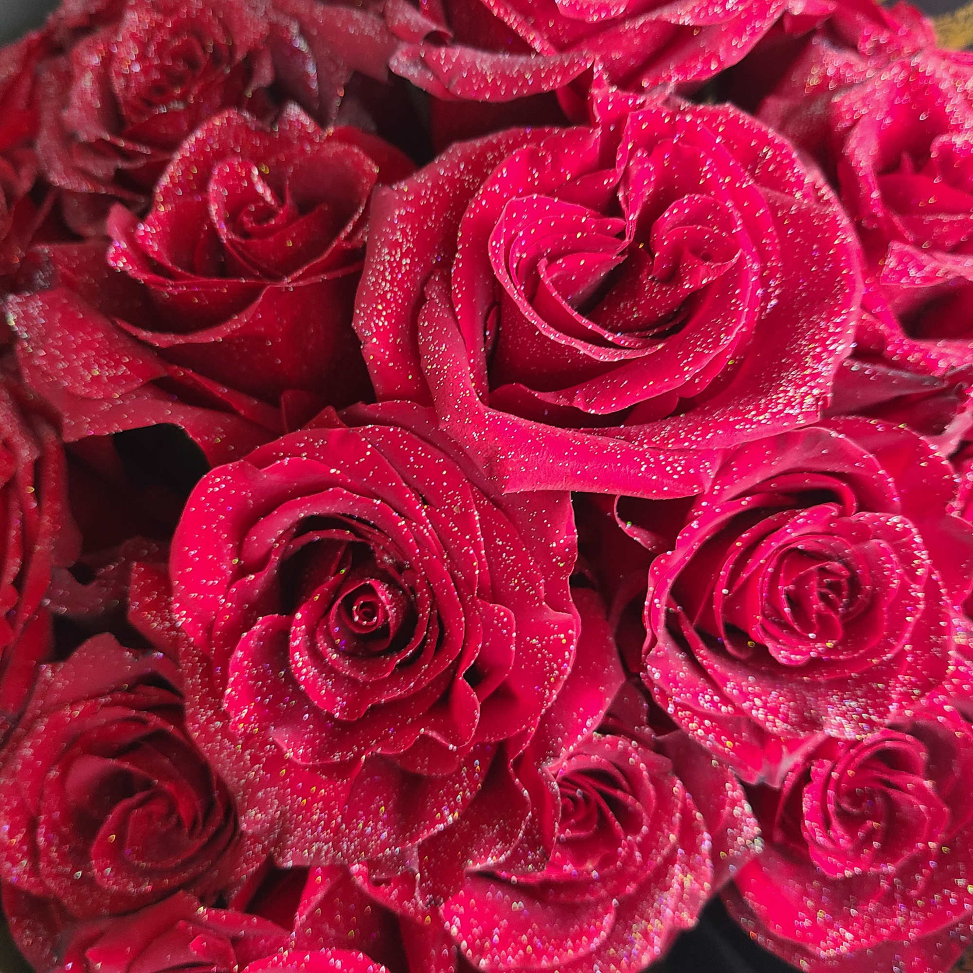 Red Sparkling Roses in Spartanburg, SC | Ira's Flowers