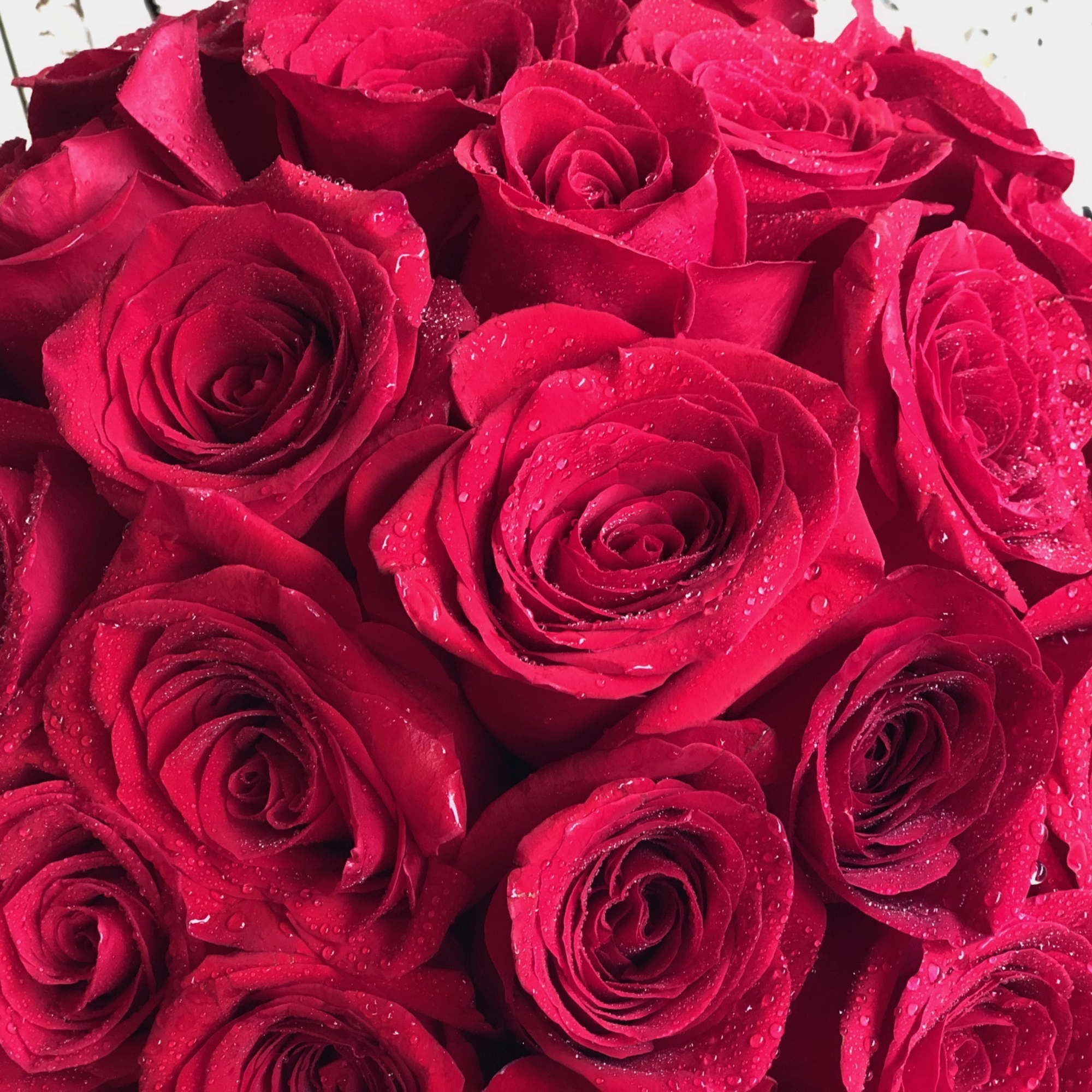 Please note the rose box pictured is the PREMIUM or 2 DOZEN