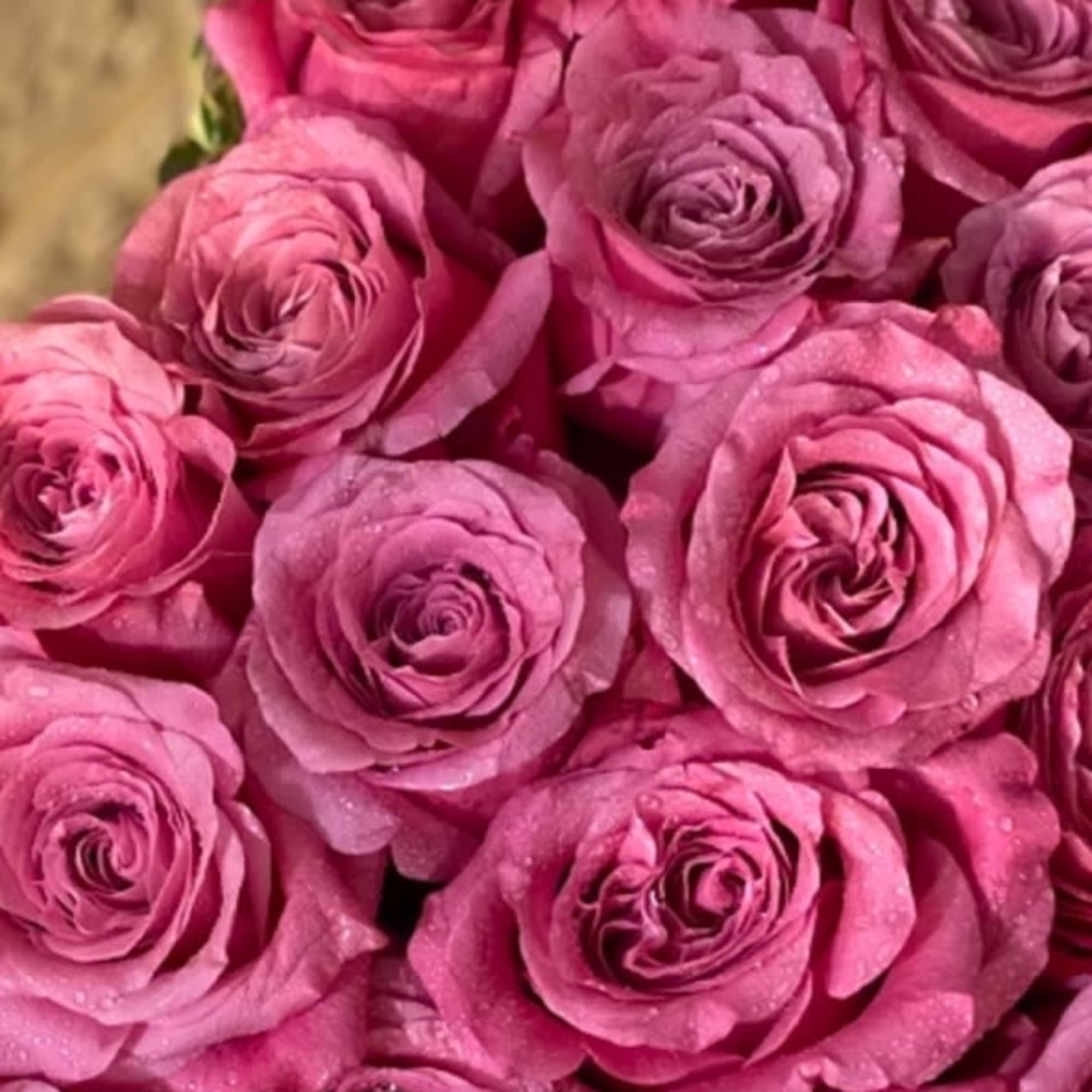 Big, beautiful, roses in a heart shaped box. Accent of garden ivy.