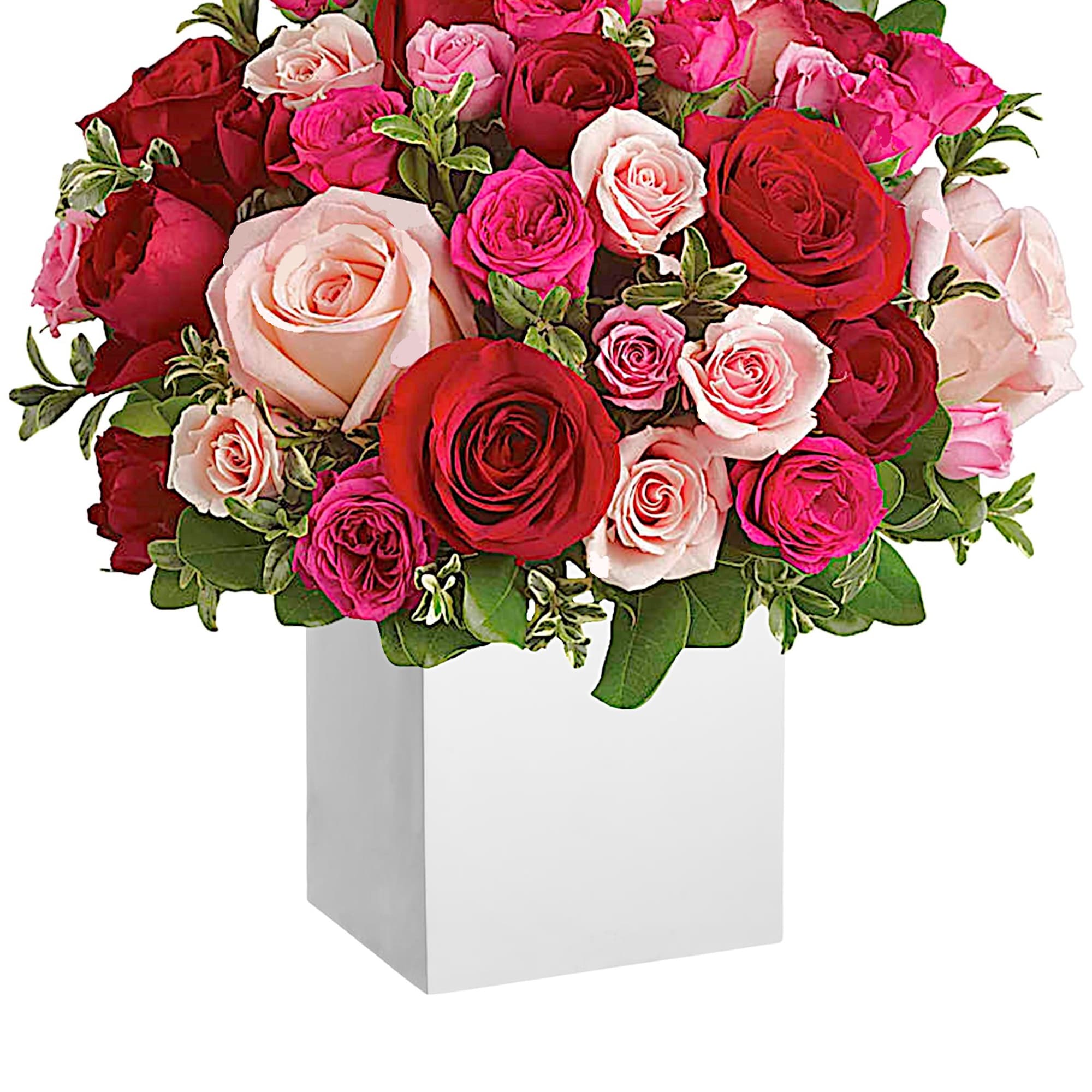 Sing them a love song - with flowers. This lush, loving rose