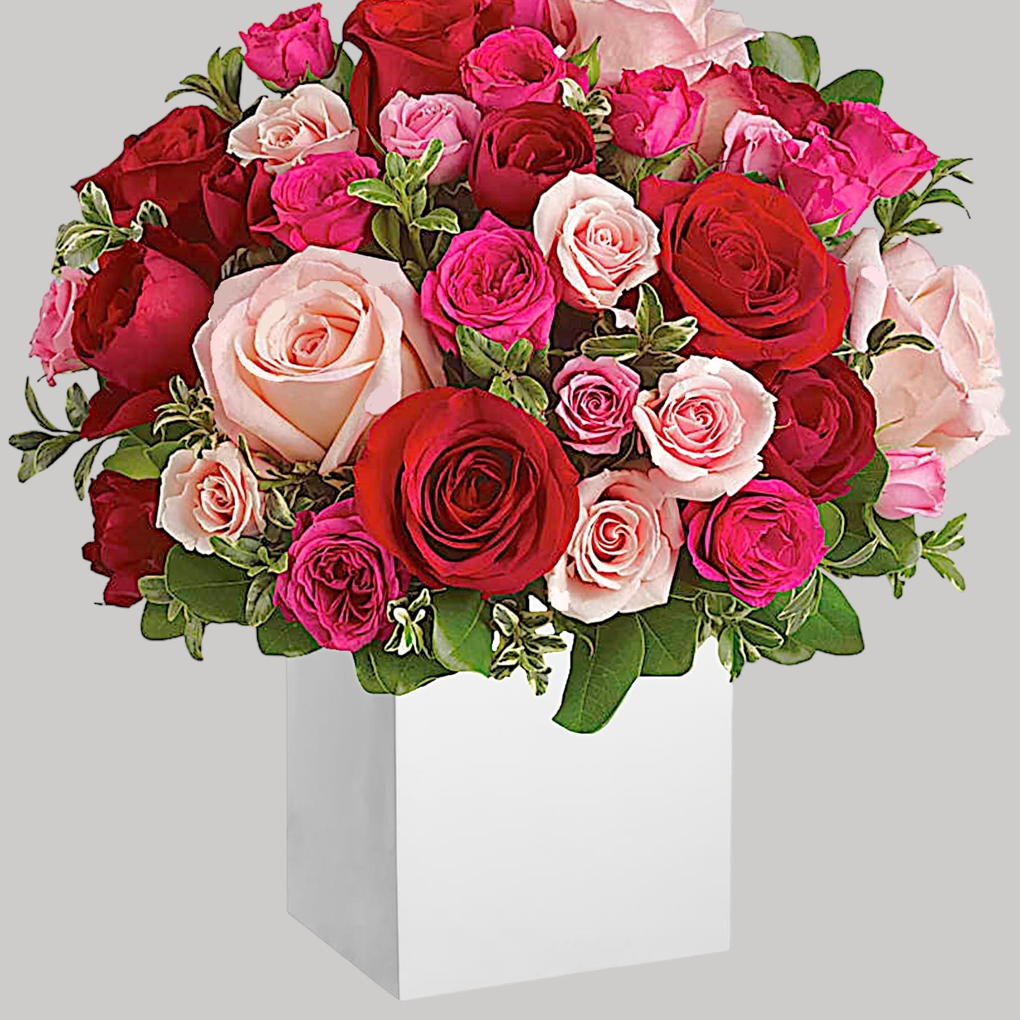 Sing them a love song - with flowers. This lush, loving rose