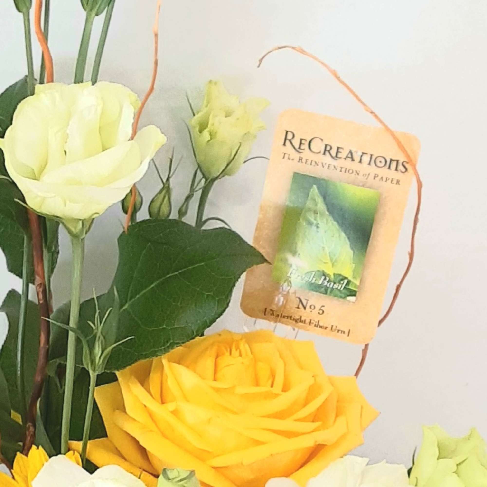 This design is created in our new natural container. Created from paper