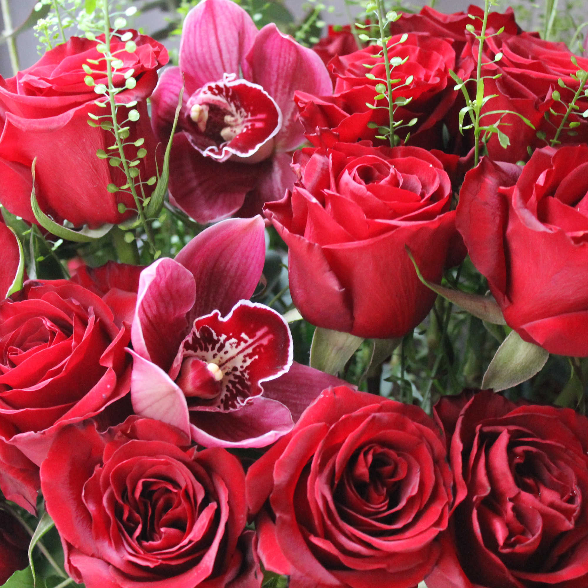 Gorgeous red long stem roses with ivy, orchids and pretty greenery. Send