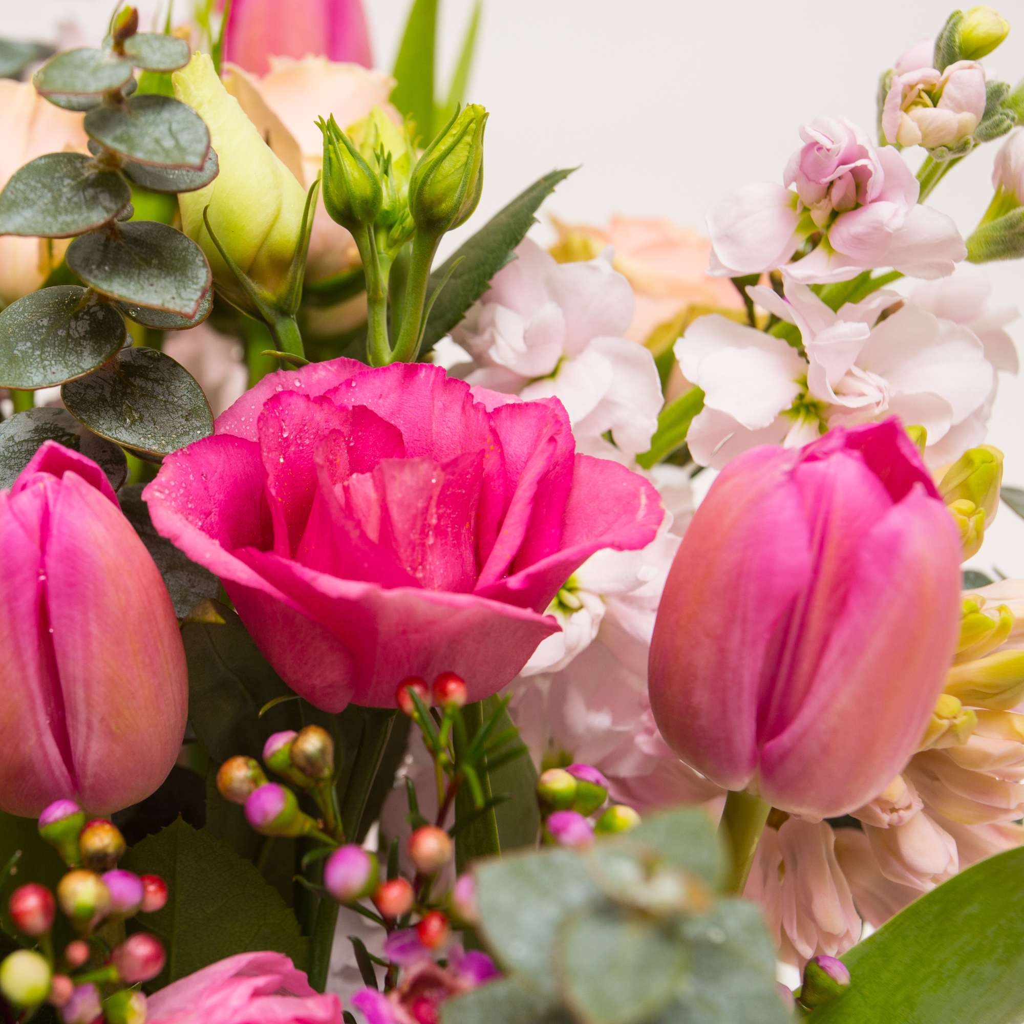 Perfect for all occasions
