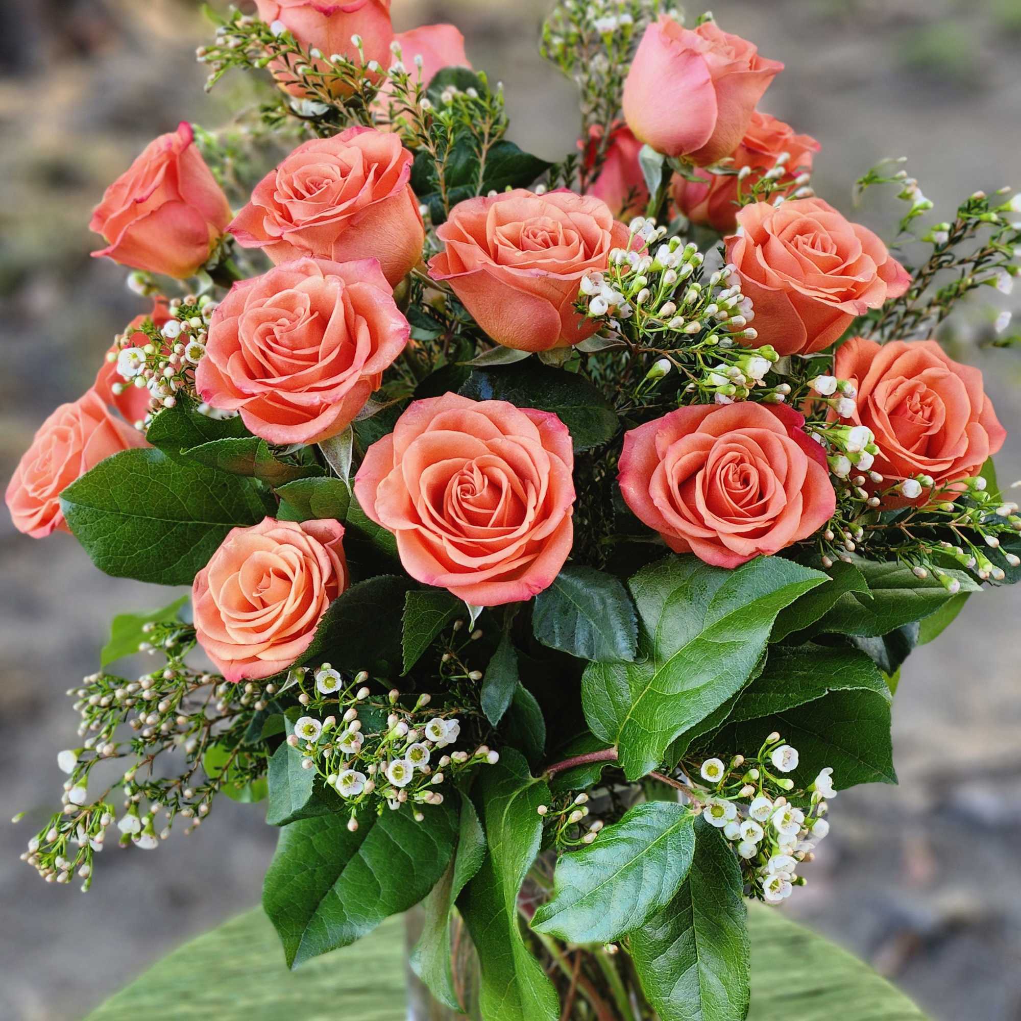 Coral roses represent enthusiasm! Send them to somebody to show your warmth