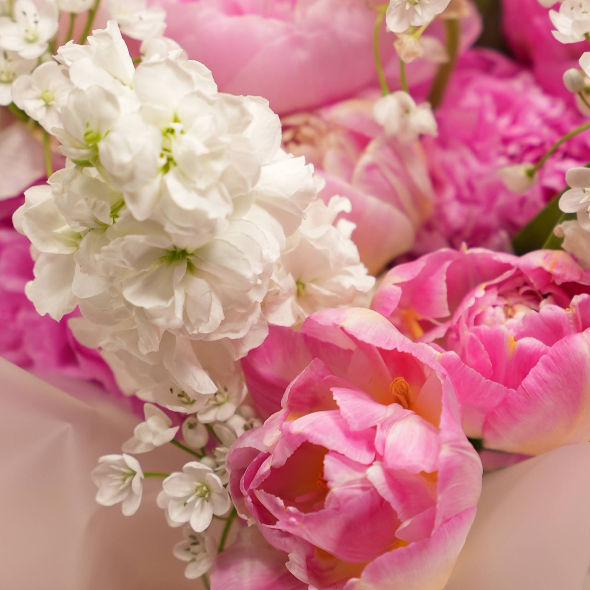 Welcome the essence of spring into your mother&#039;s heart with our &quot;Blooming