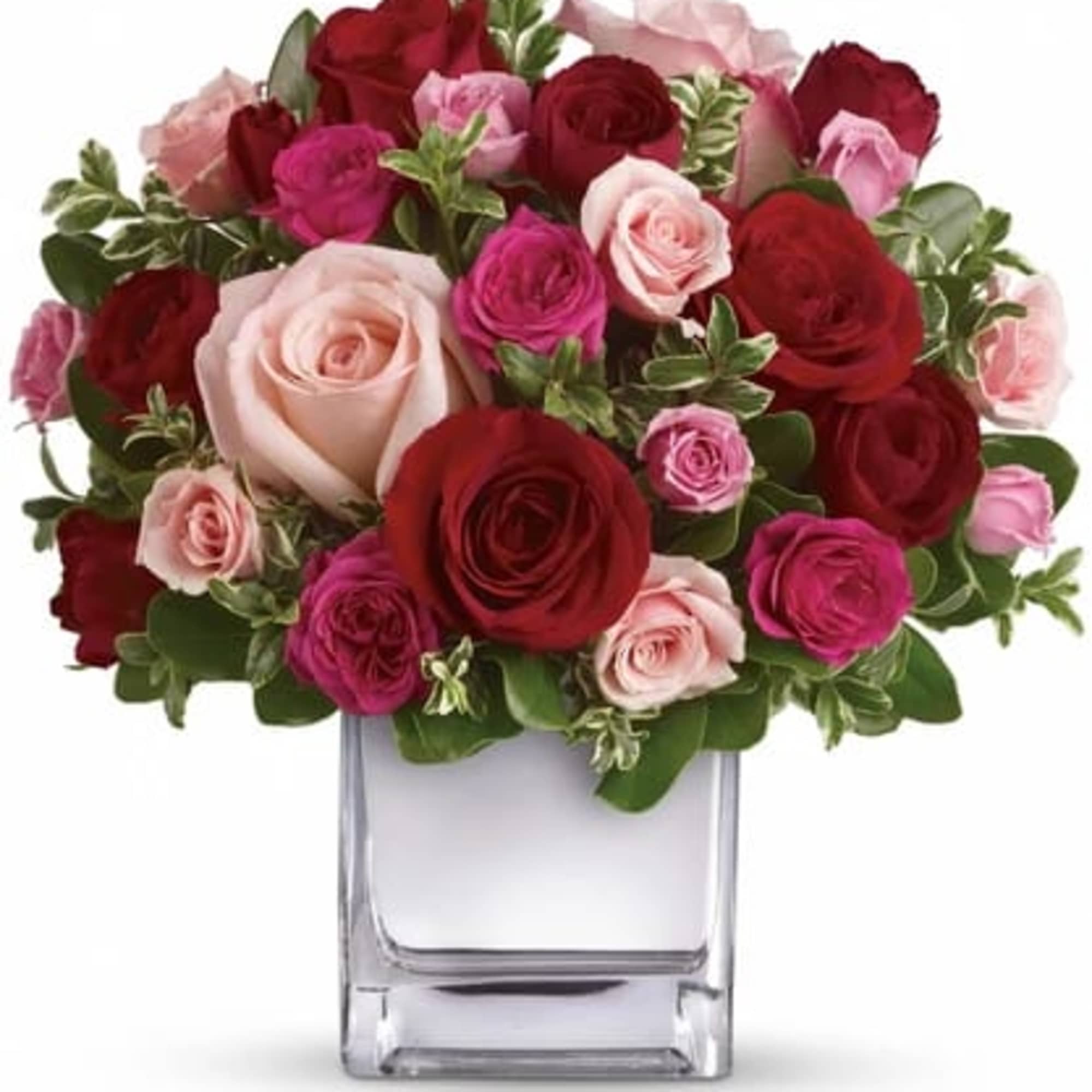 Sing her a love song - with flowers. This lush, loving rose Sing her a love song - with flowers. This lush, loving rose