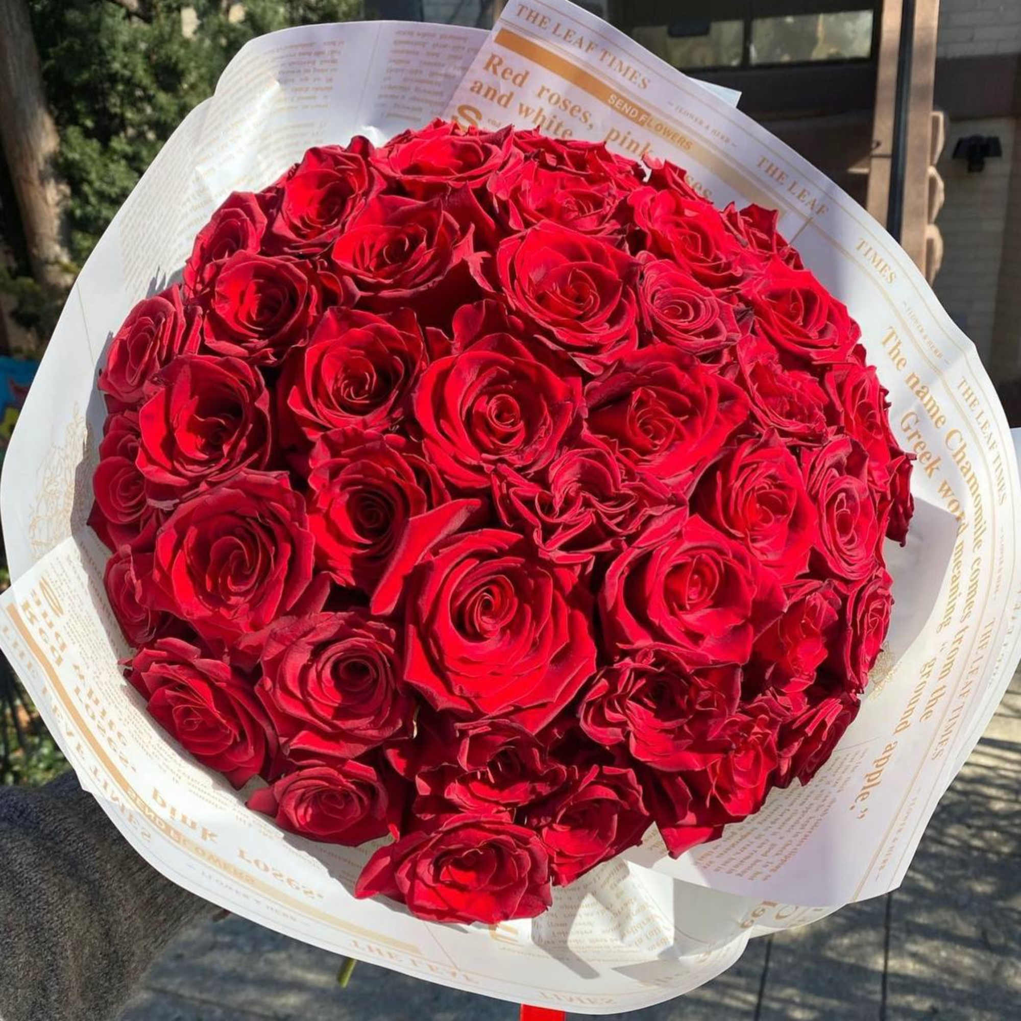 red roses with magazine white wrap