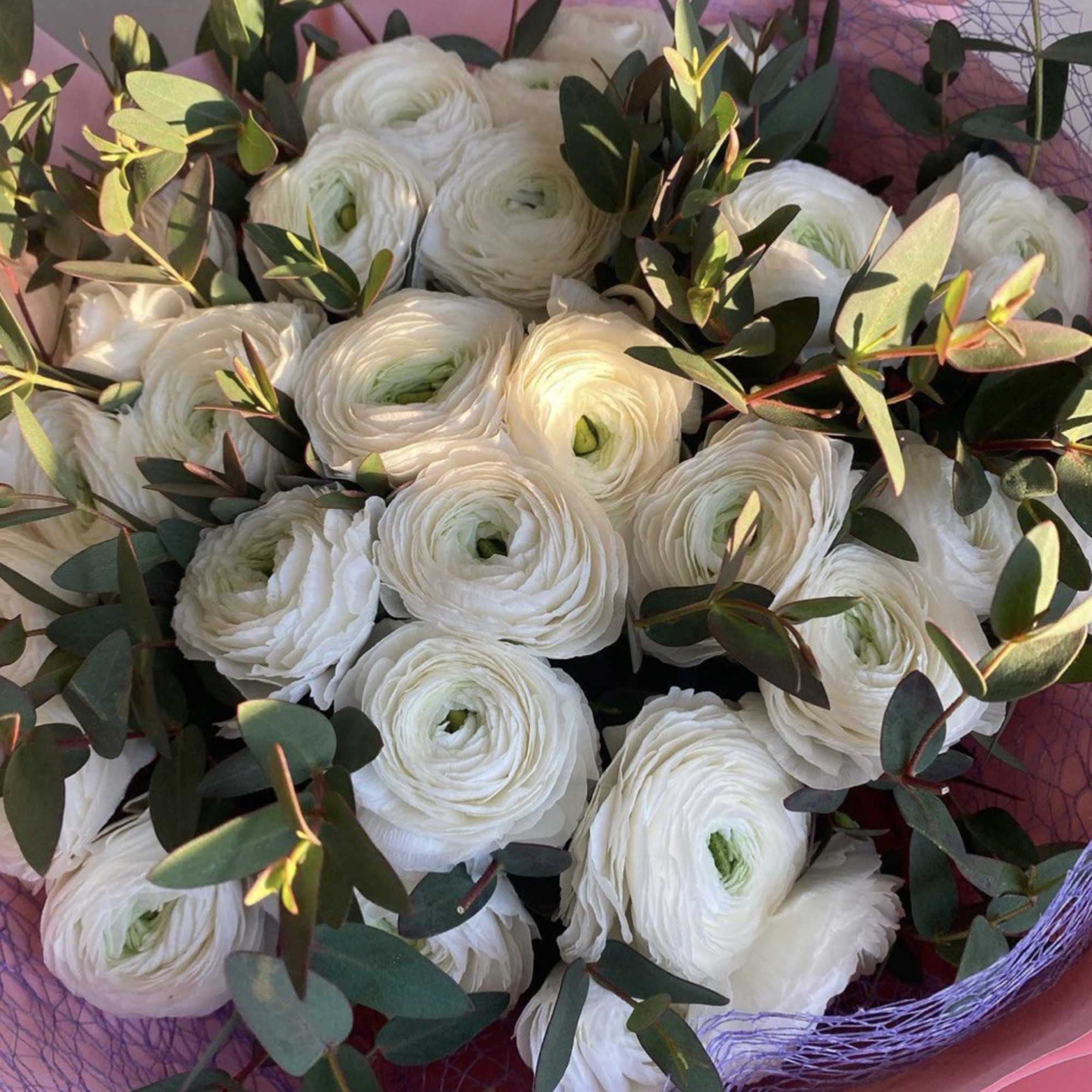 Bouquet of white ranunculus