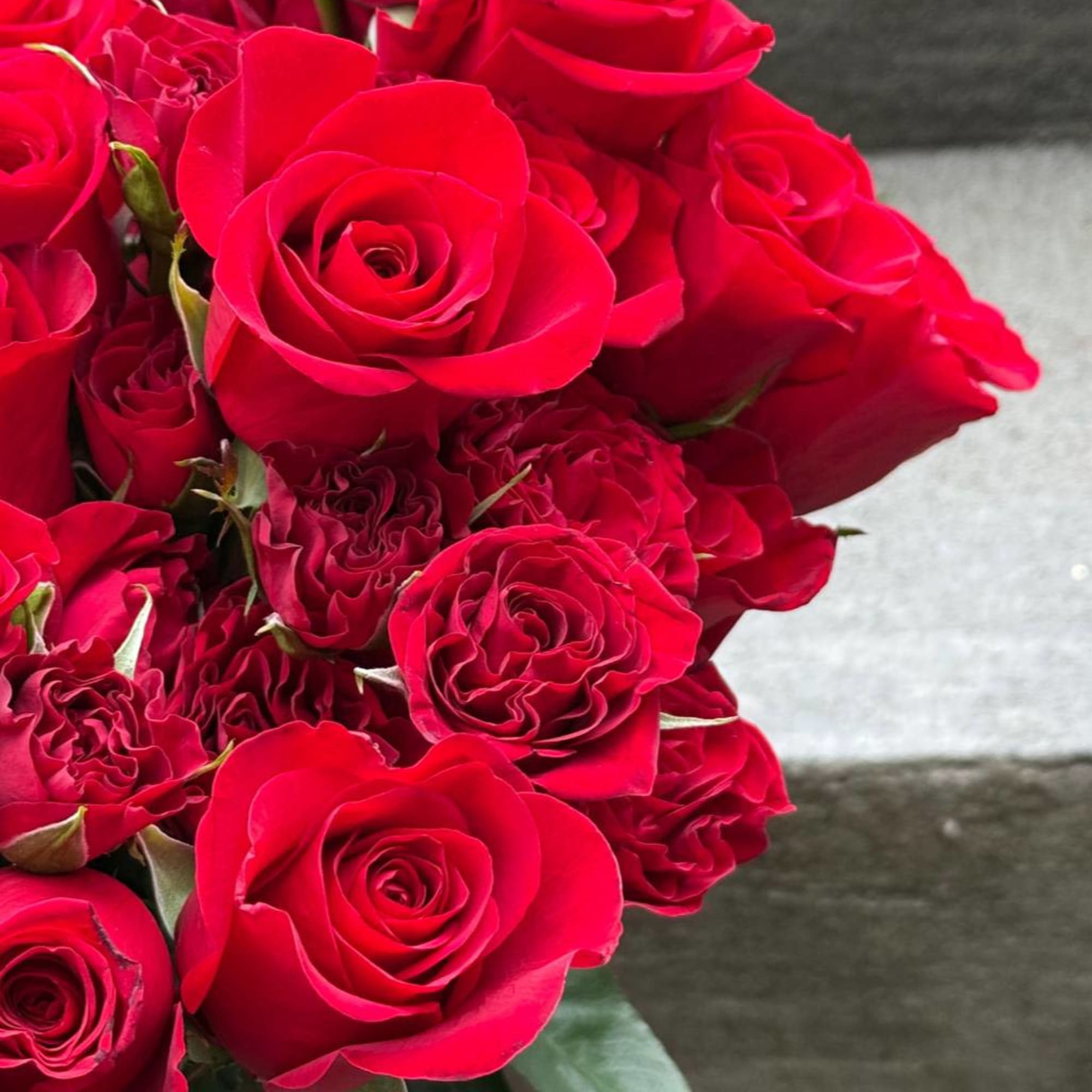 Spray roses with classic Freedom roses and vase 