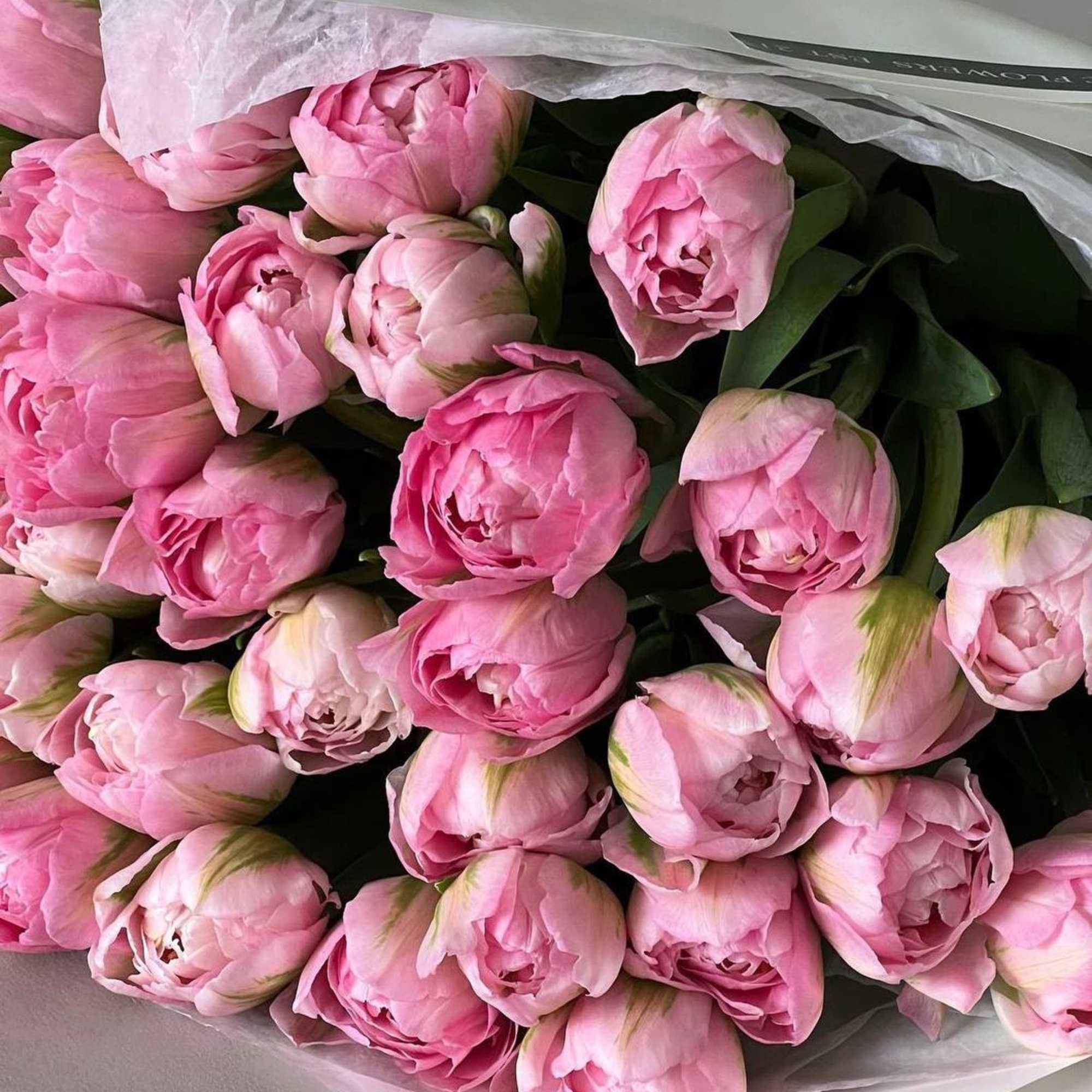 A monobucket of pink tulips is a sophisticated and elegant composition filled