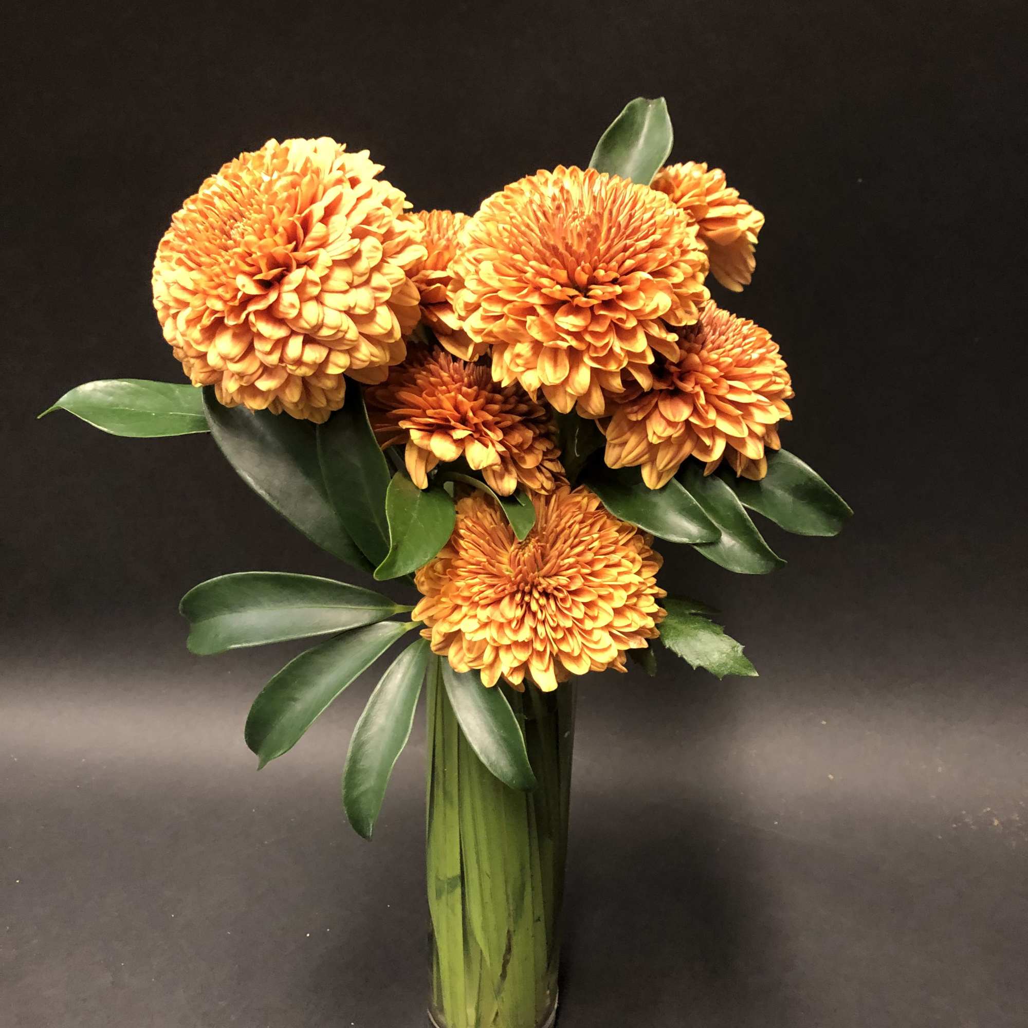 Color will change do to season...flavored Mums.
*We use the freshest flowers available Color will change do to season...flavored Mums.
*We use the freshest flowers available