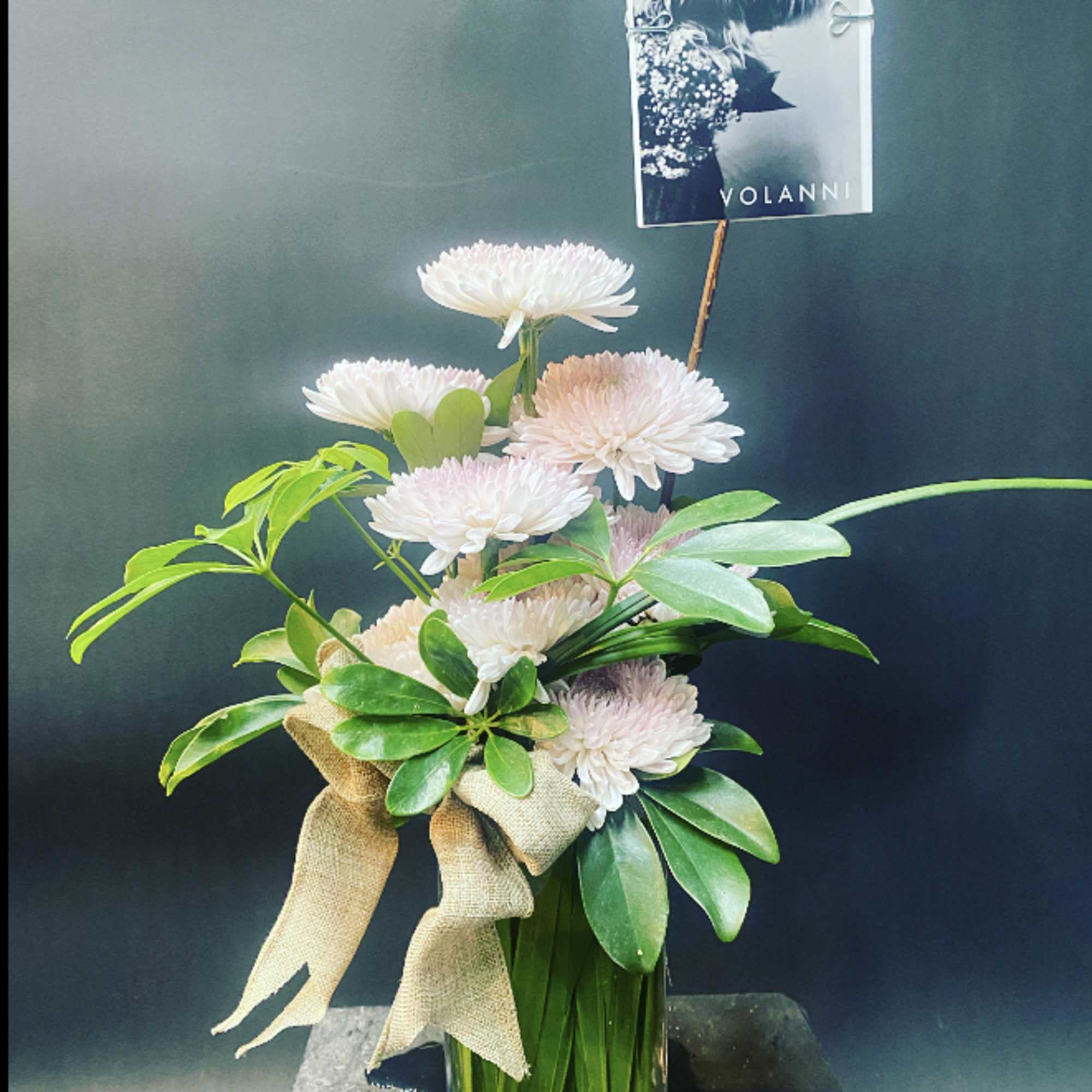 Color will change do to season...flavored Mums.
*We use the freshest flowers available Color will change do to season...flavored Mums.
*We use the freshest flowers available