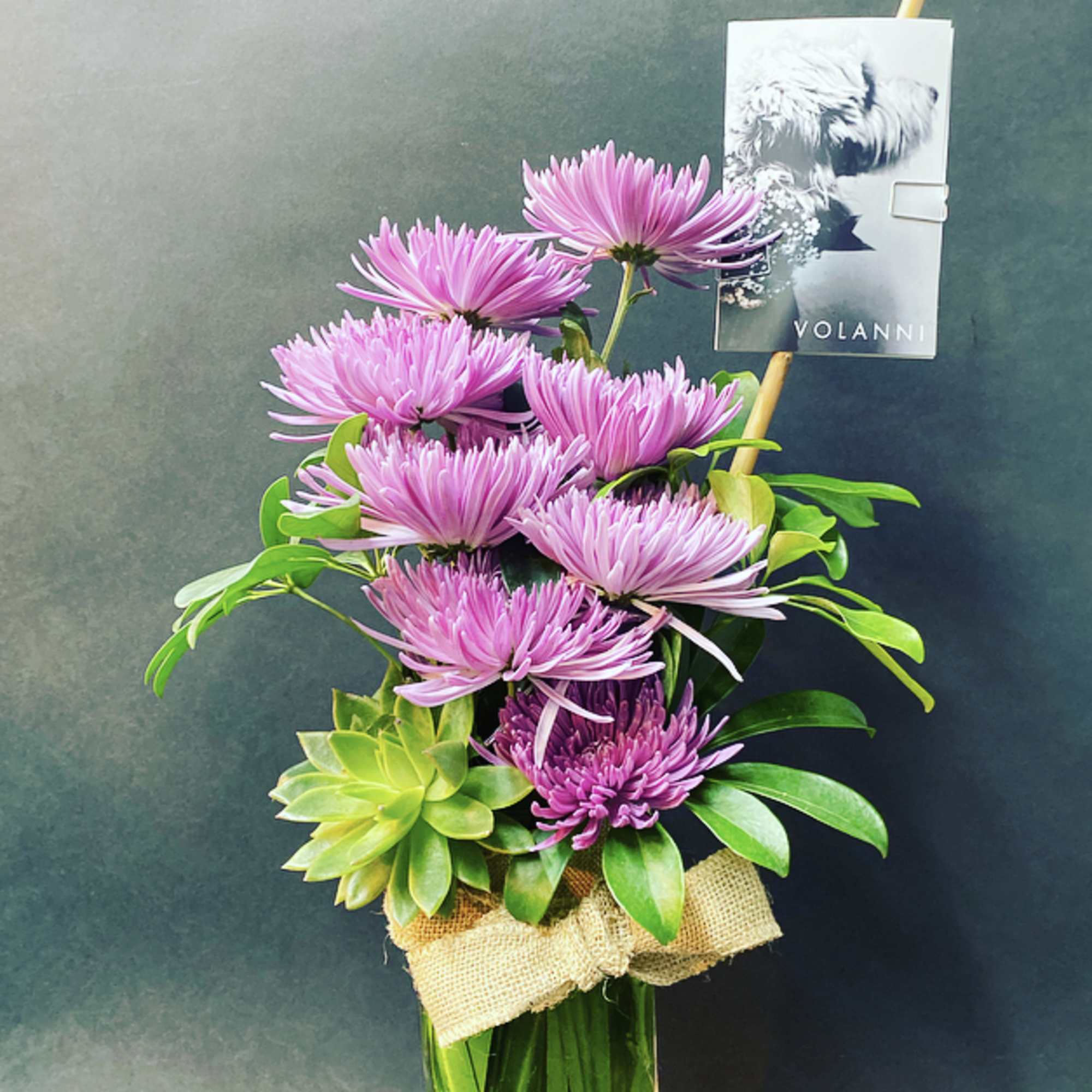 Color will change do to season...flavored Mums.
*We use the freshest flowers available Color will change do to season...flavored Mums.
*We use the freshest flowers available