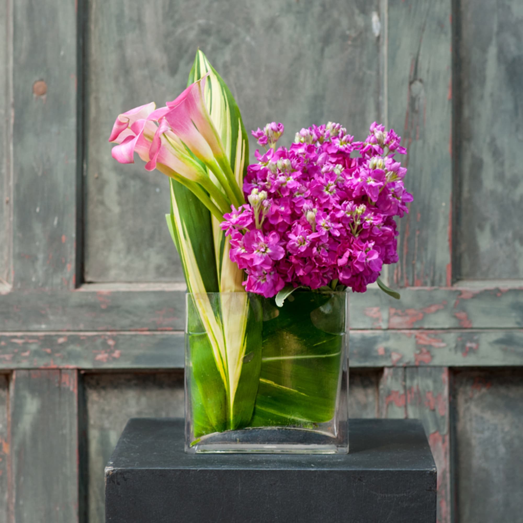 In Great Balance. Sleek and modern. Calla Lilies, Hot Pink Stock, Monstera In Great Balance. Sleek and modern. Calla Lilies, Hot Pink Stock, Monstera