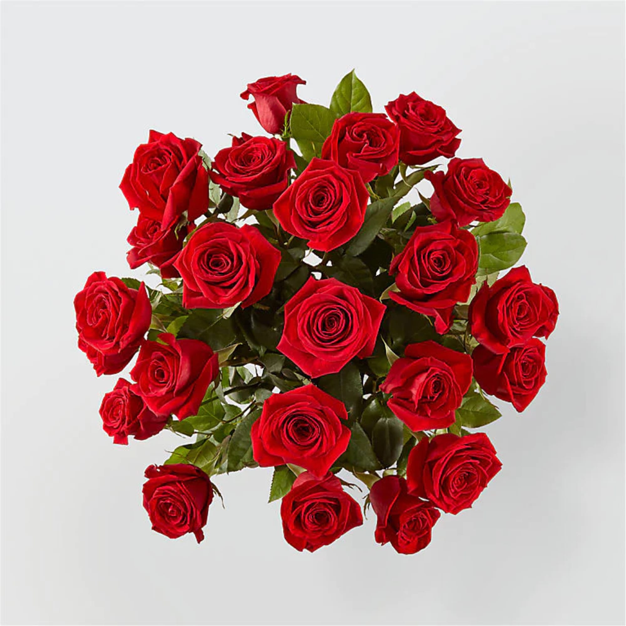 24 Red Roses Deluxe
All Occasion
Clear Vase
Place your Order Online Monday to Saturday