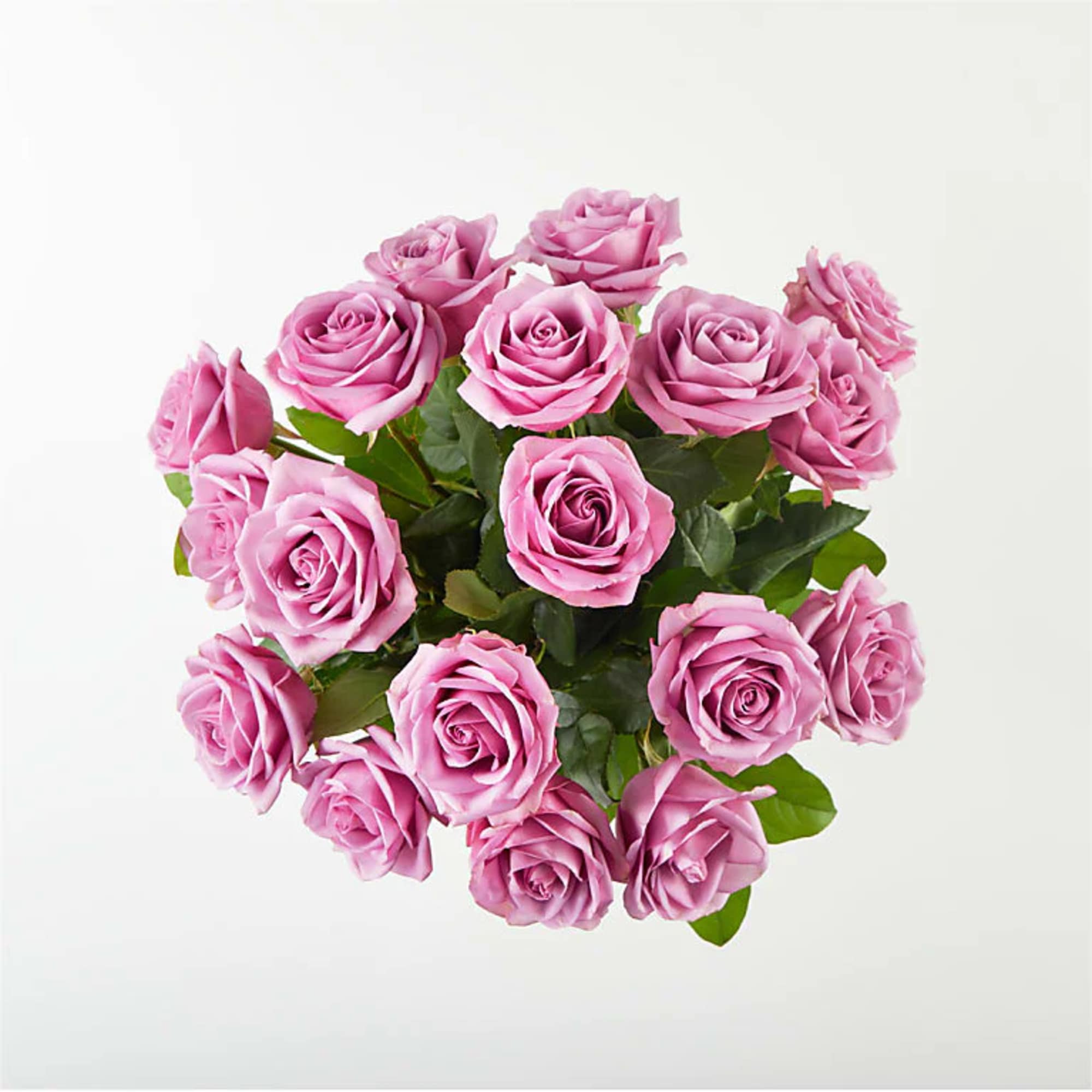 18 Lavender Roses Deluxe
All Occasion
Clear Glass
Place your Order Online Monday to Saturday