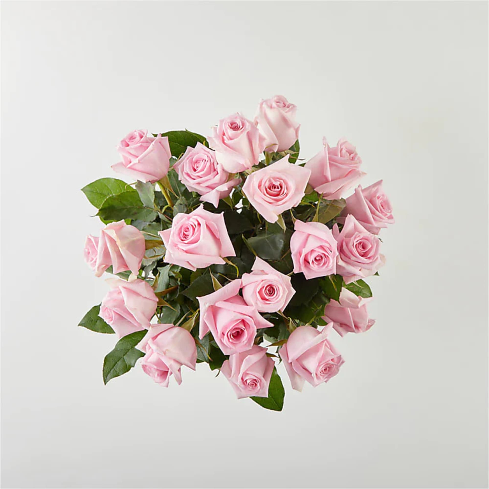 18 Pink Roses Deluxe
All Occasion
Glass Pot
Place your Order Online Monday to Saturday