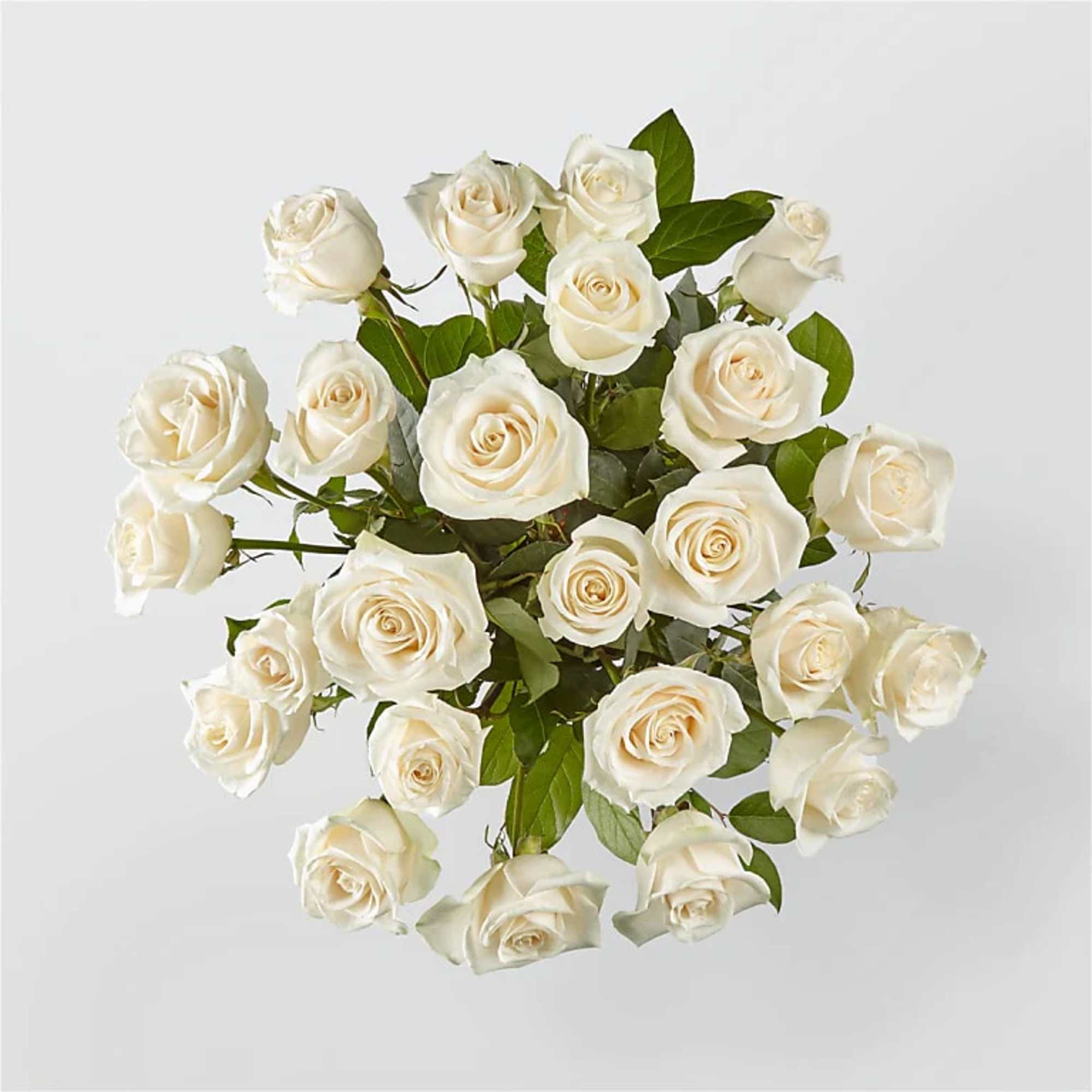 24 White Roses Deluxe
All Occasion
Clear Glass

Place your Order Online Monday to Saturday
