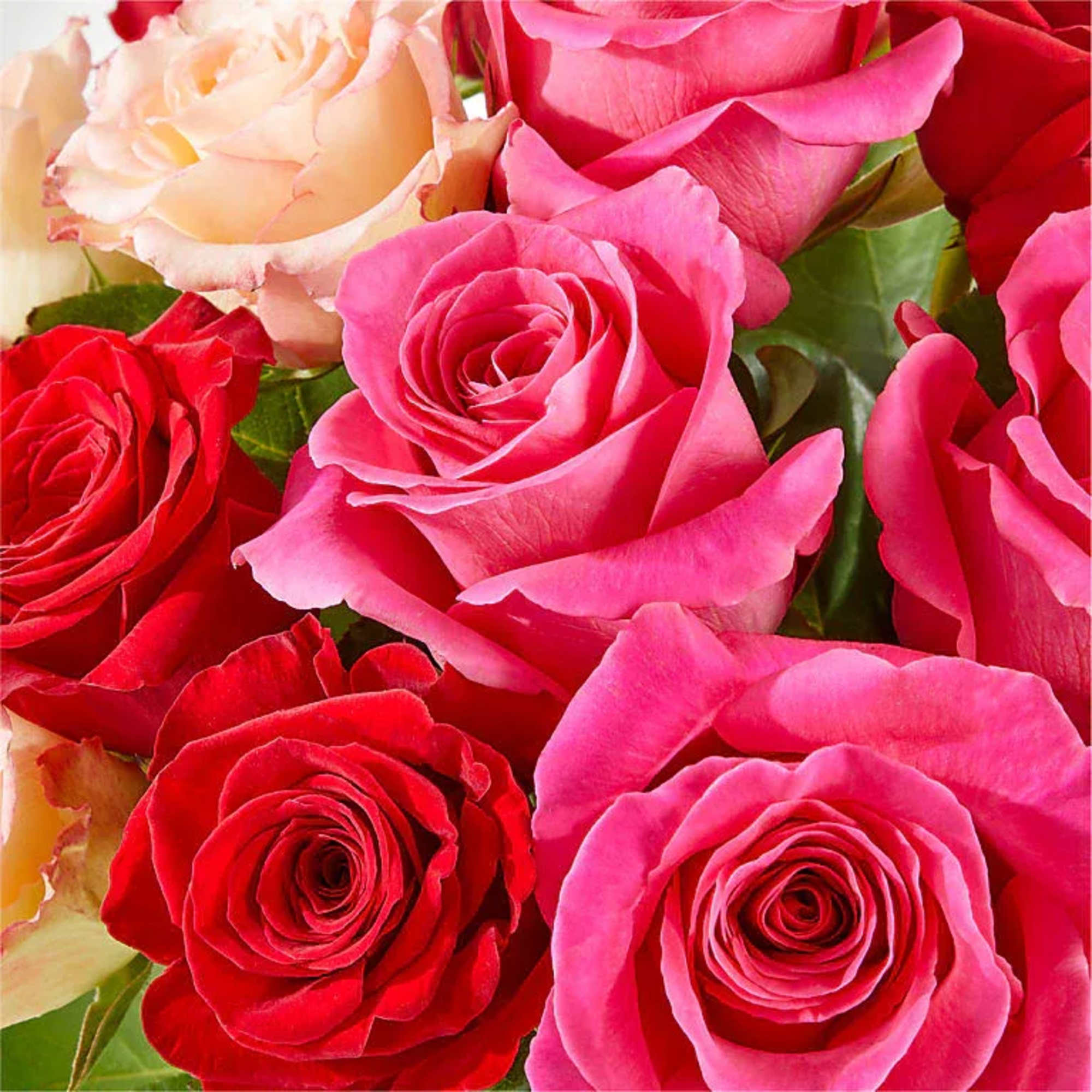 Make them blush with this bright blend of white, hot pink and